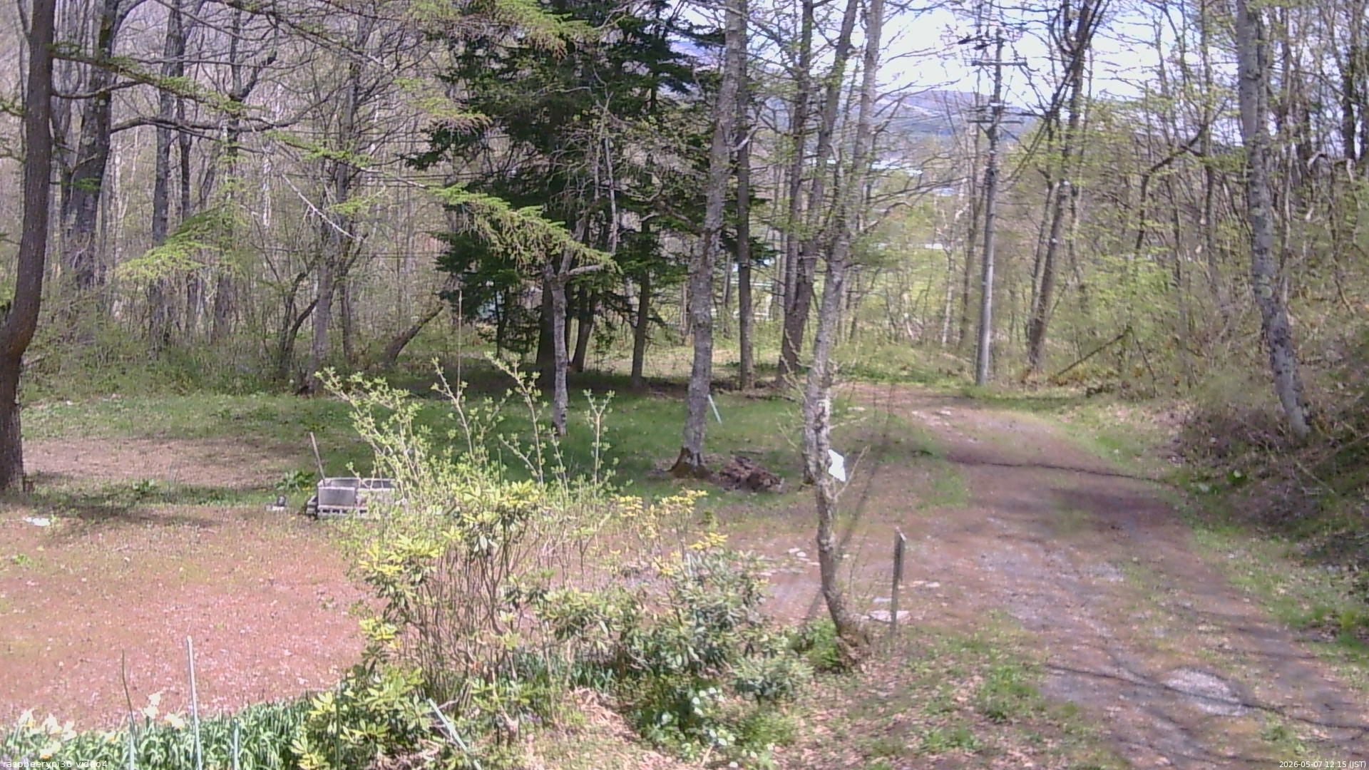 長野県菅平高原 ゆたか山荘 坂上 2026/05/07 12:15