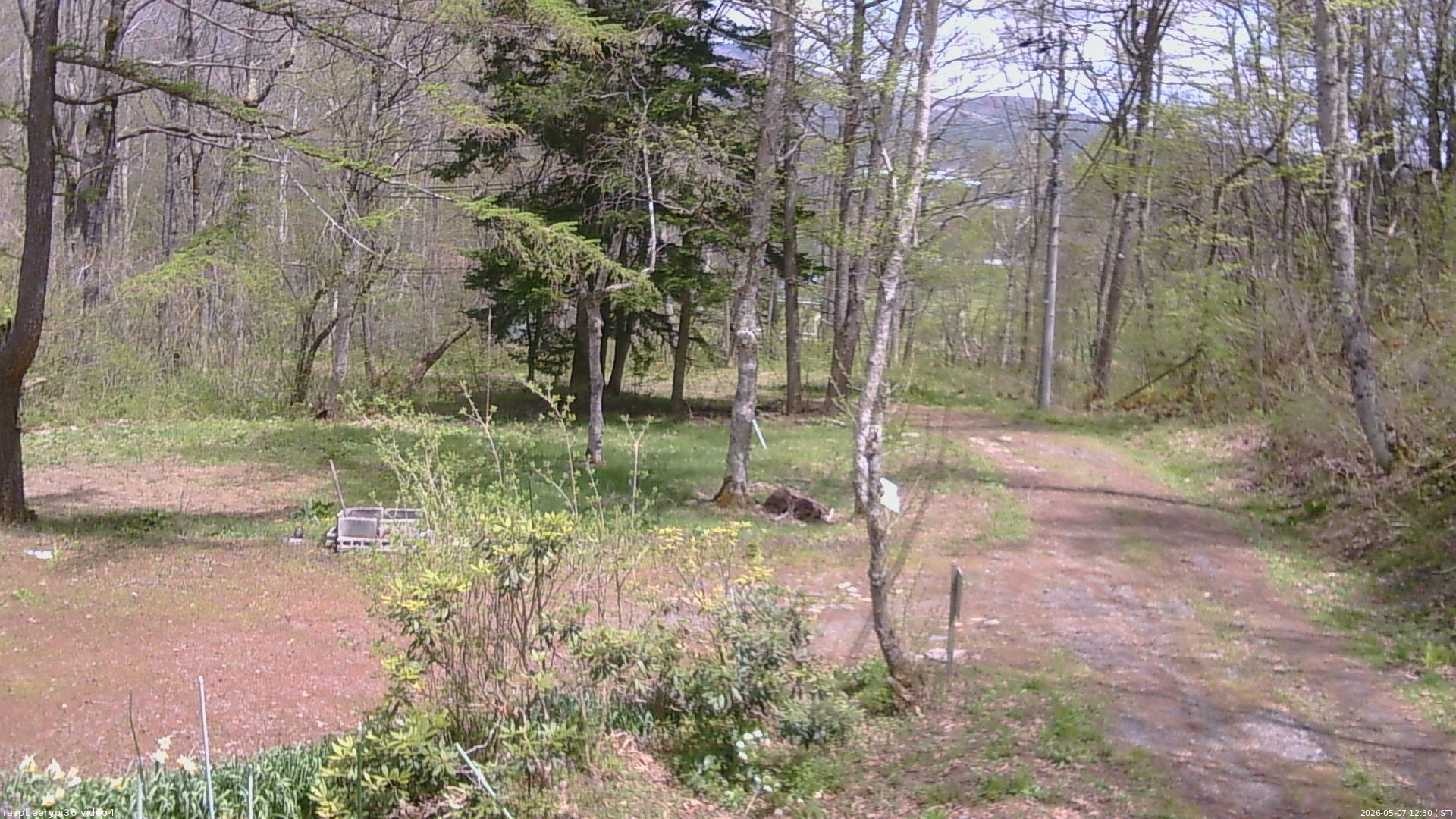長野県菅平高原 ゆたか山荘 坂上 2026/05/07 12:30