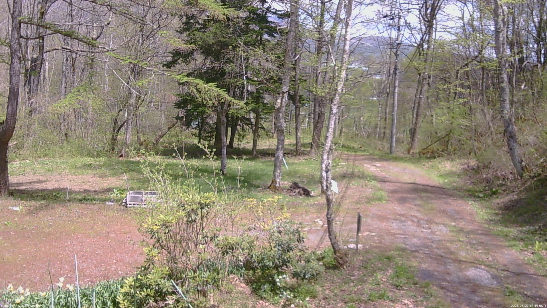 長野県菅平高原 ゆたか山荘 坂上 2026/05/07 12:45