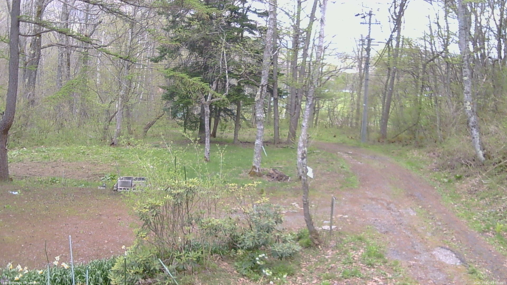 長野県菅平高原 ゆたか山荘 坂上 2026/05/07 13:00