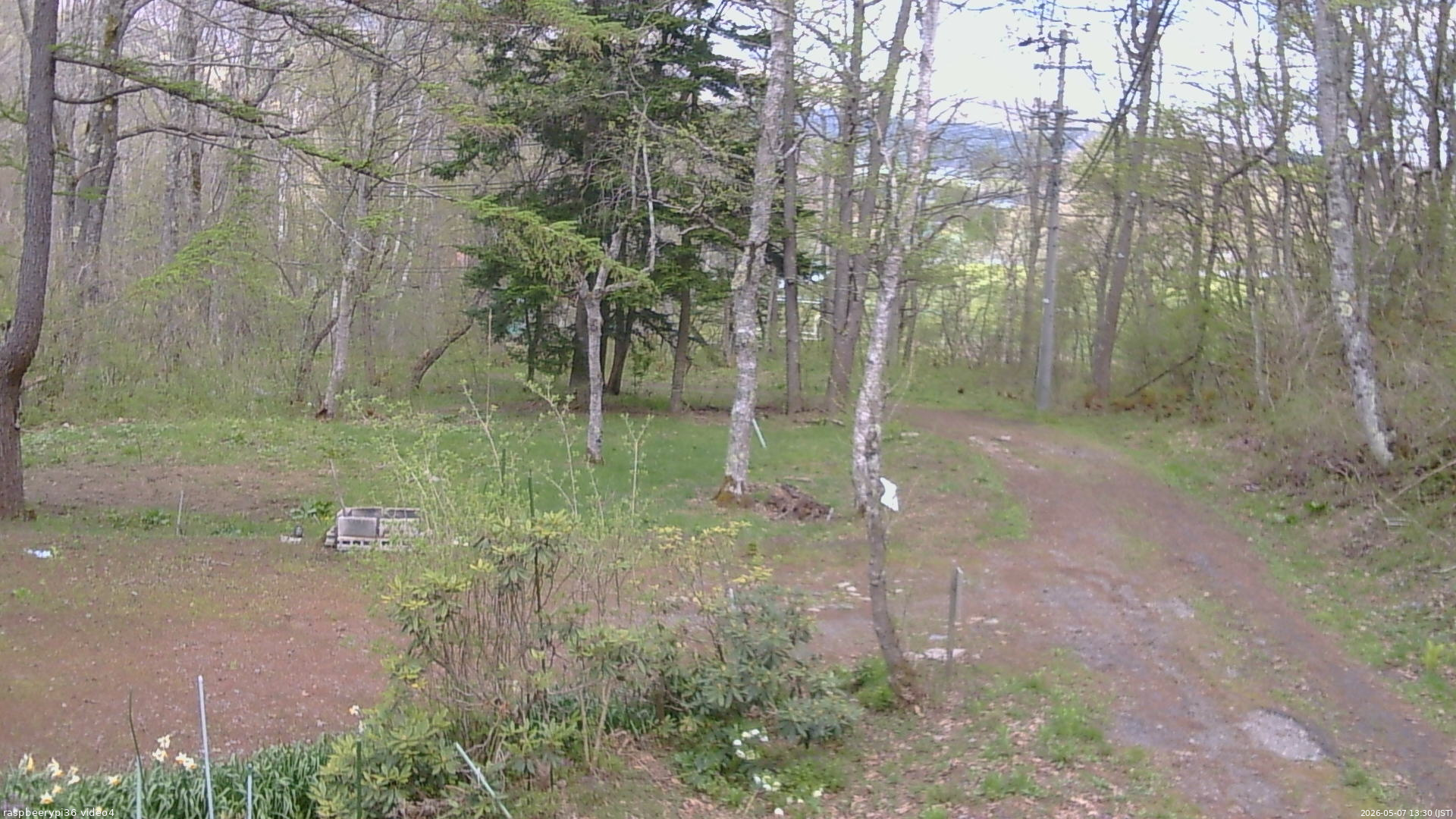 長野県菅平高原 ゆたか山荘 坂上 2026/05/07 13:30