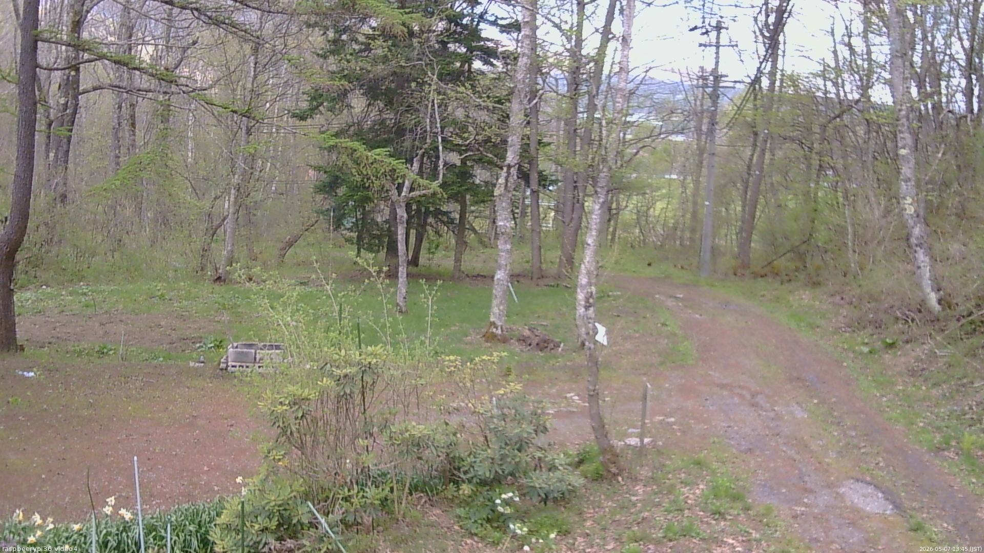 長野県菅平高原 ゆたか山荘 坂上 2026/05/07 13:45