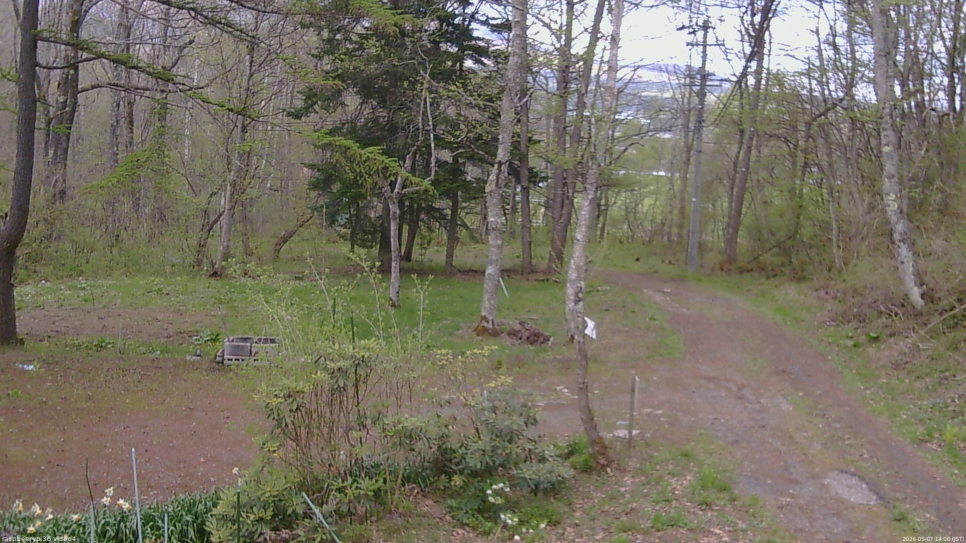 長野県菅平高原 ゆたか山荘 坂上 2026/05/07 14:00