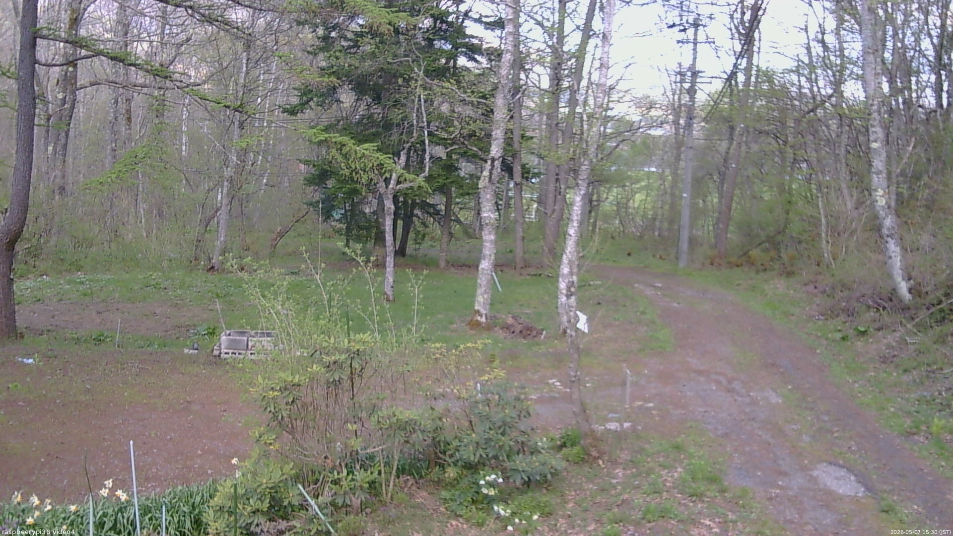 長野県菅平高原 ゆたか山荘 坂上 2026/05/07 15:30
