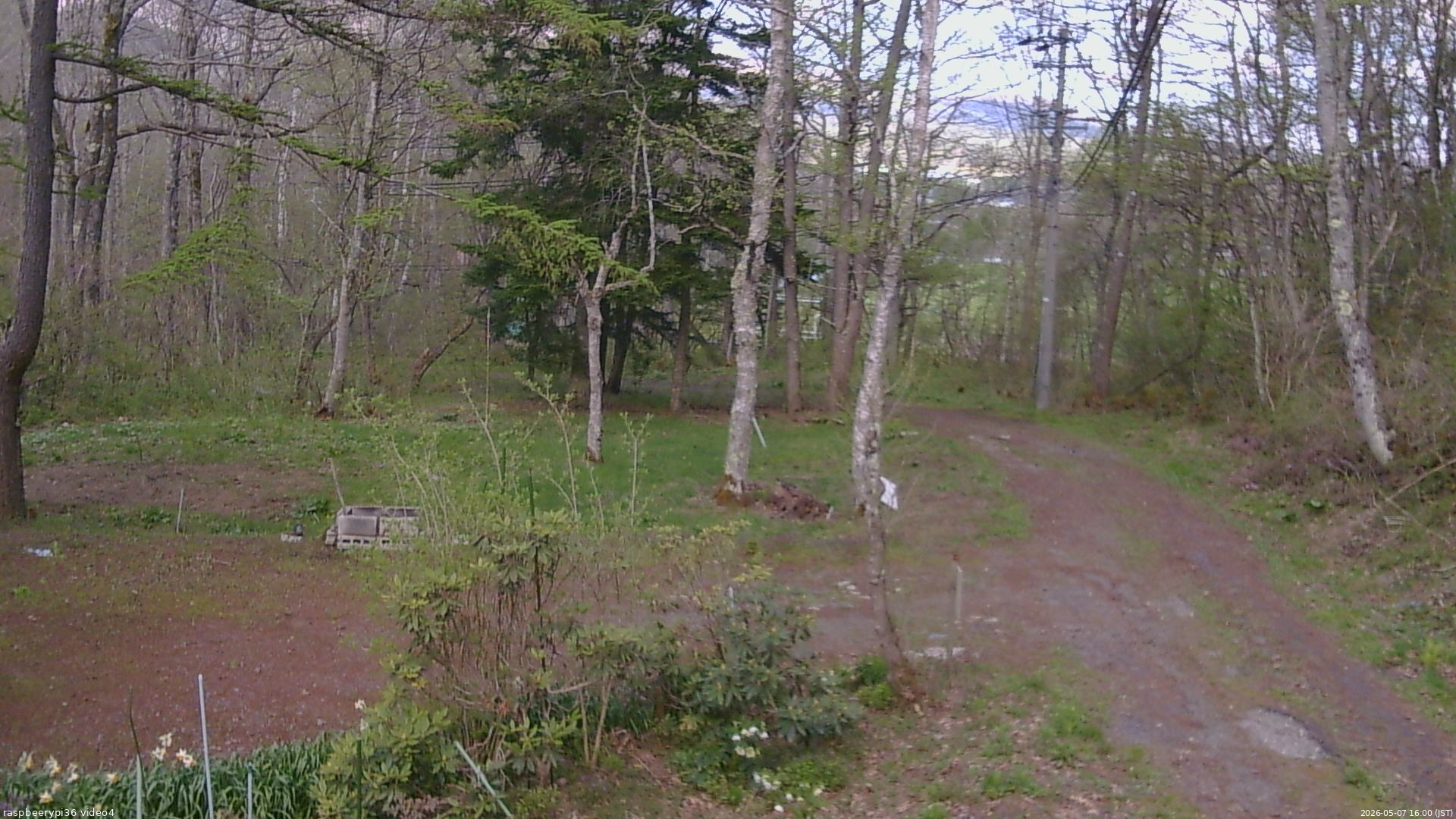 長野県菅平高原 ゆたか山荘 坂上 2026/05/07 16:00
