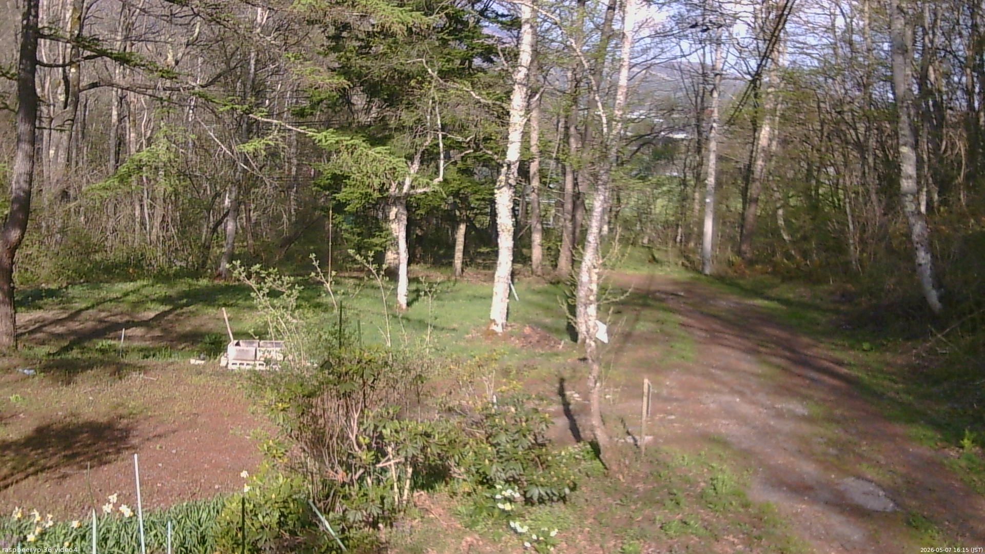 長野県菅平高原 ゆたか山荘 坂上 2026/05/07 16:15