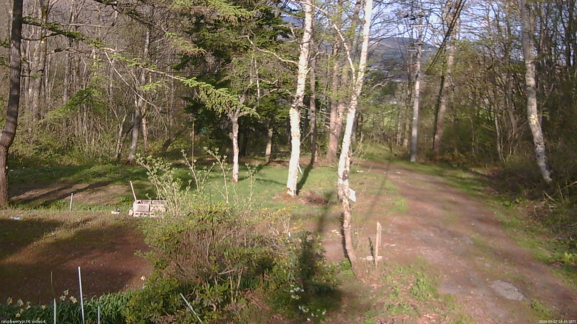 長野県菅平高原 ゆたか山荘 坂上 2026/05/07 16:45
