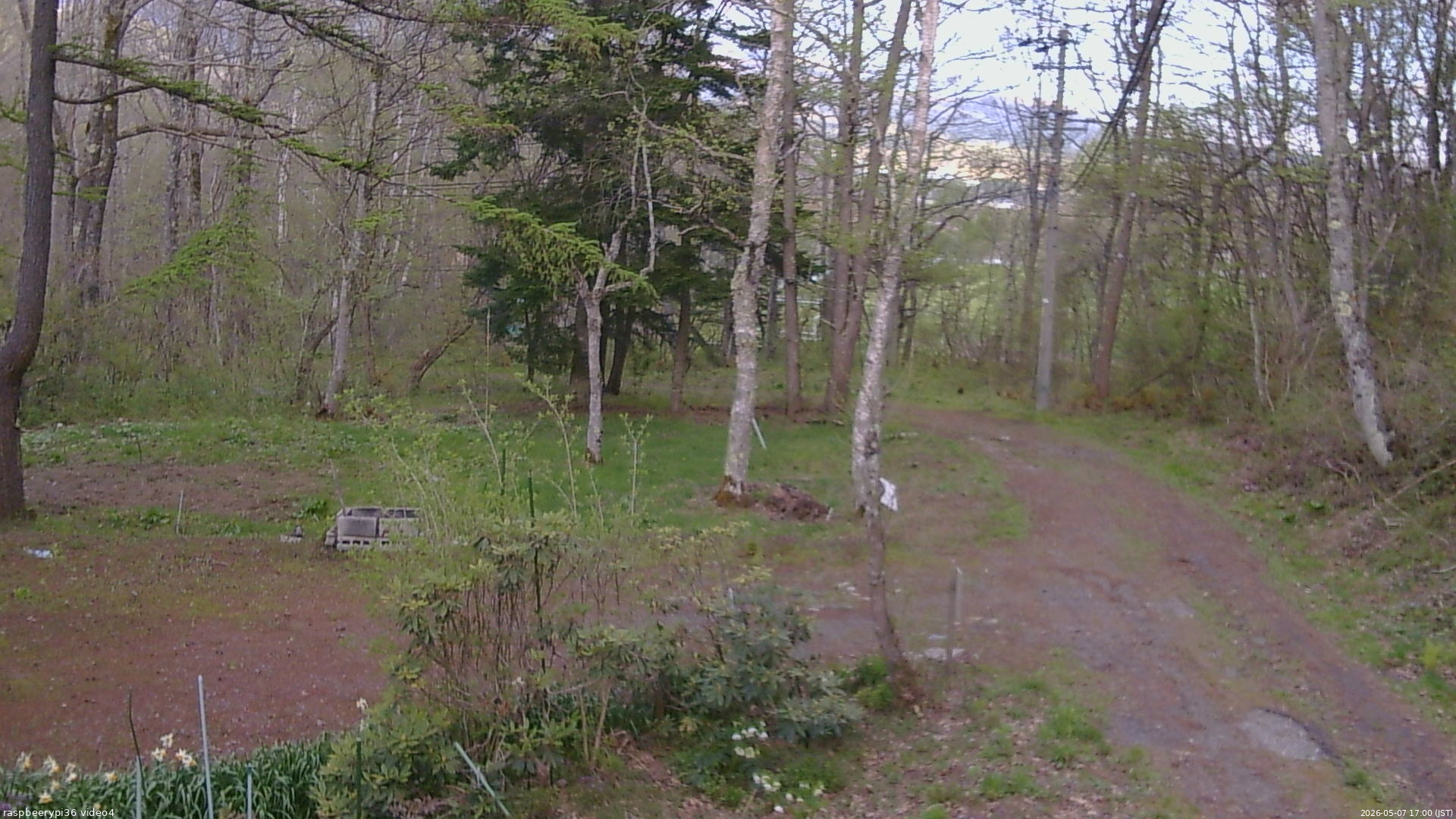 長野県菅平高原 ゆたか山荘 坂上 2026/05/07 17:00