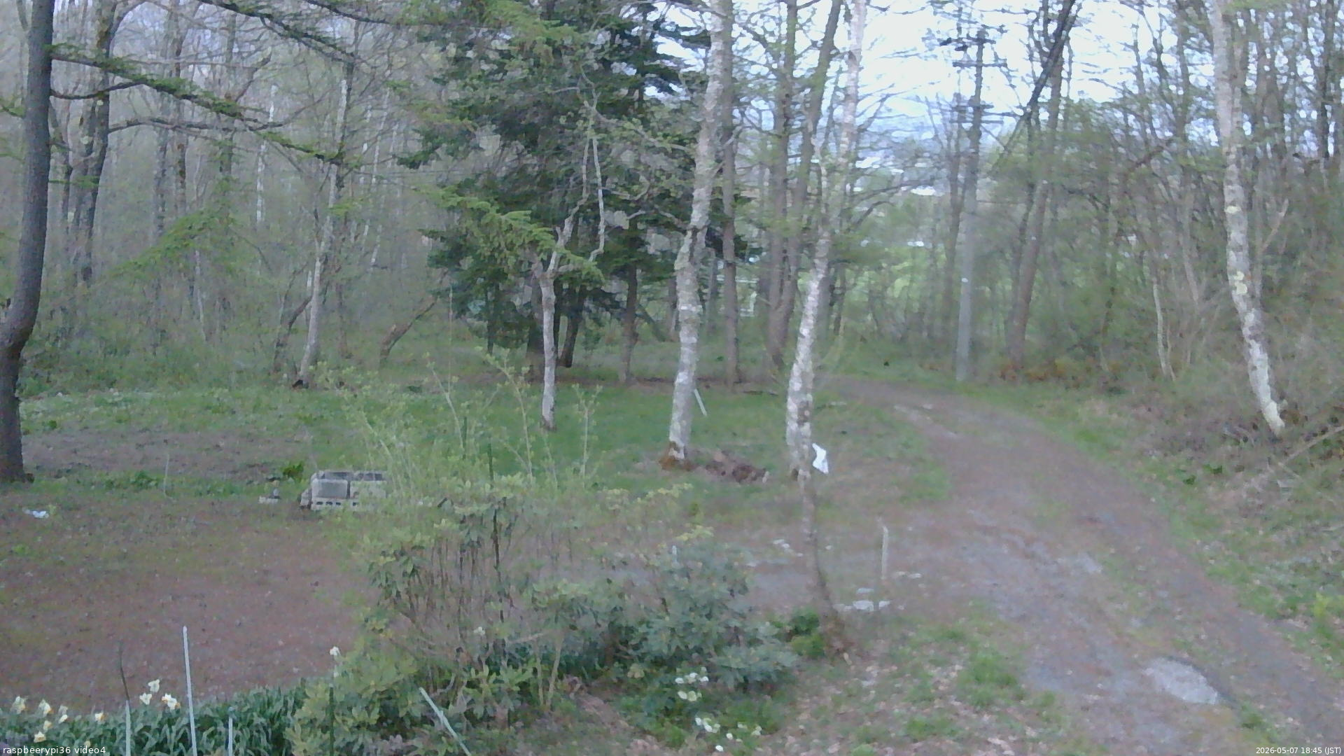 長野県菅平高原 ゆたか山荘 坂上 2026/05/07 18:45