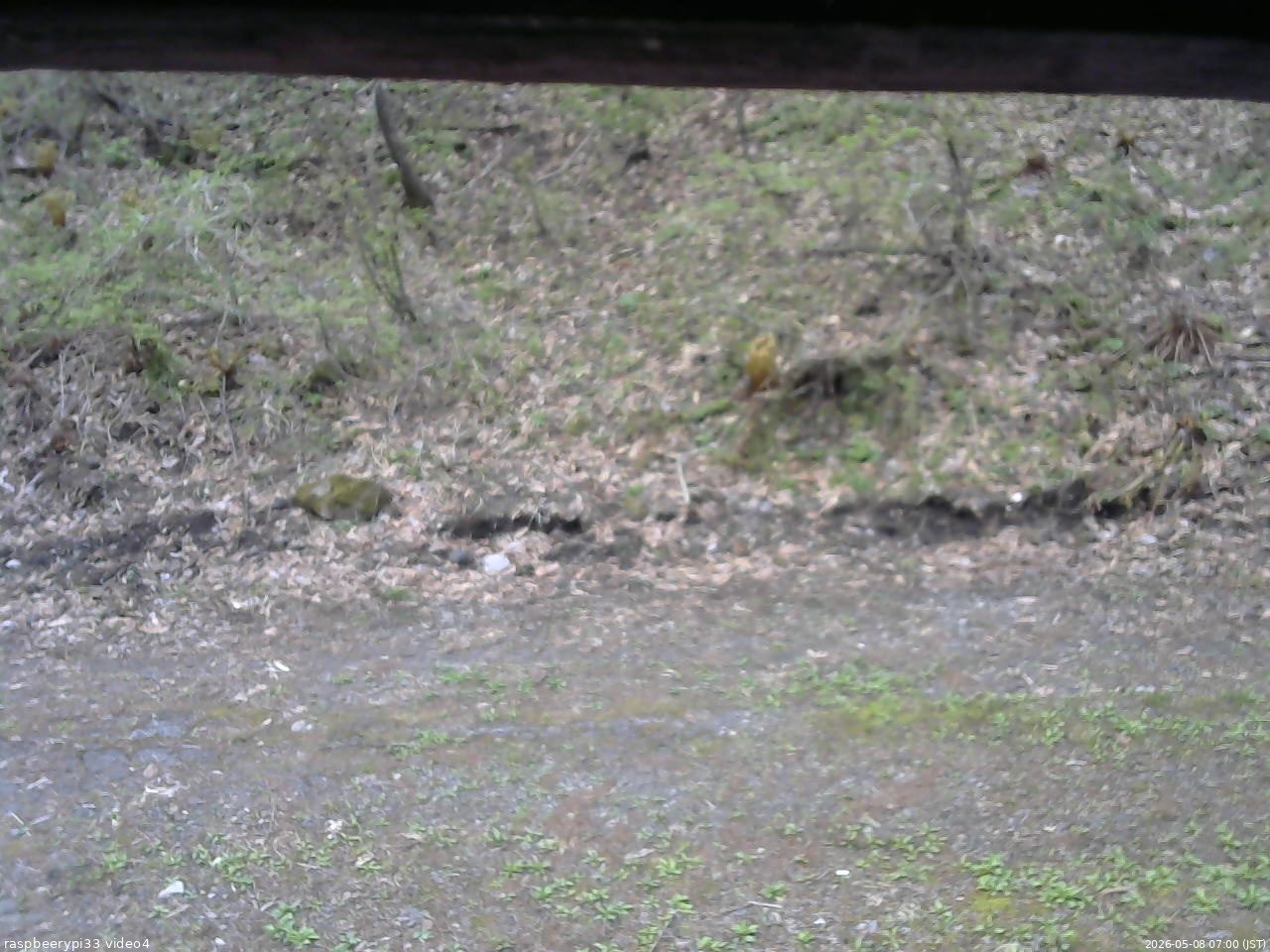 長野県菅平高原 ゆたか山荘 東側(坂下) 2026/05/08 07:00