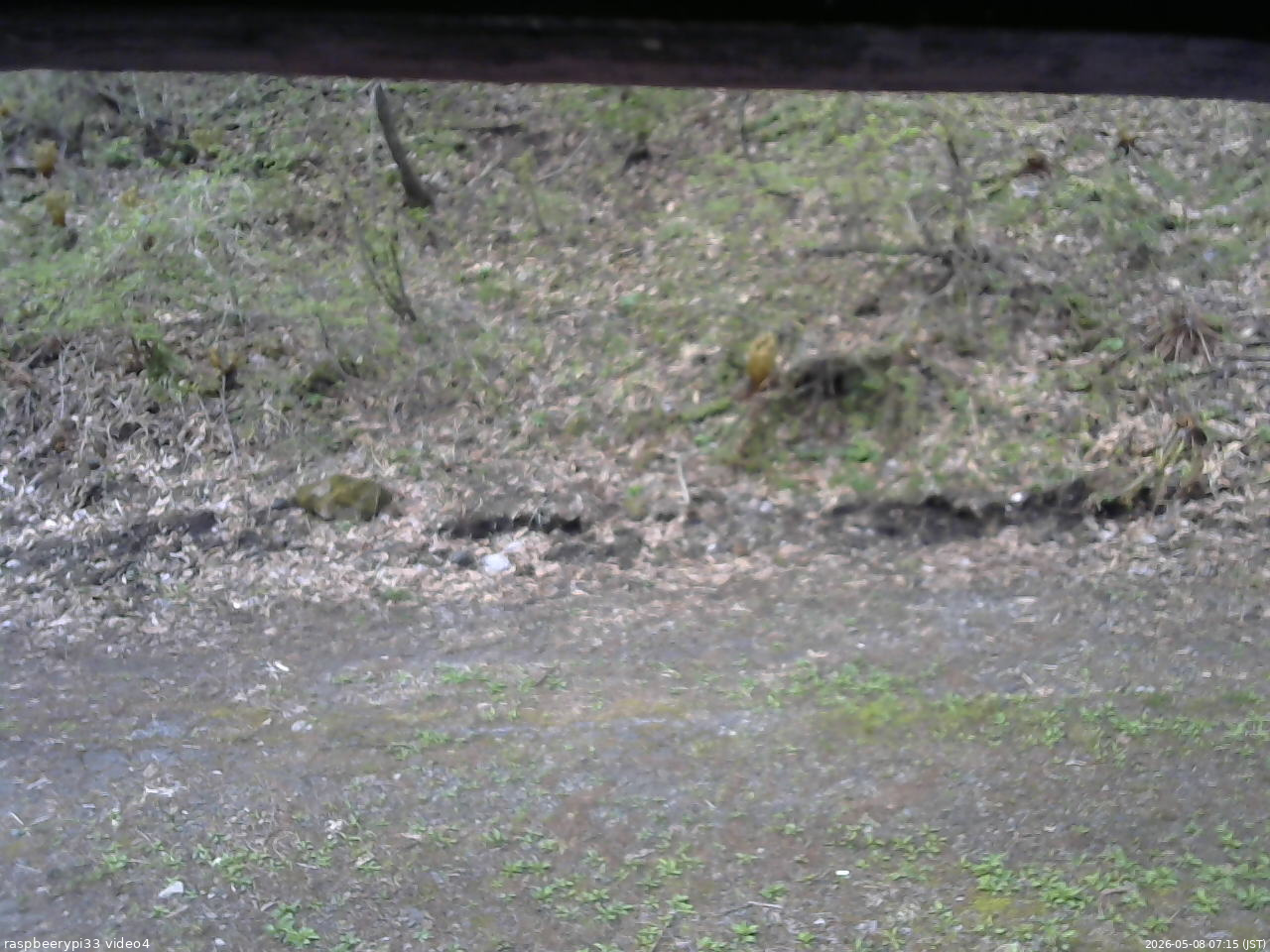 長野県菅平高原 ゆたか山荘 東側(坂下) 2026/05/08 07:15