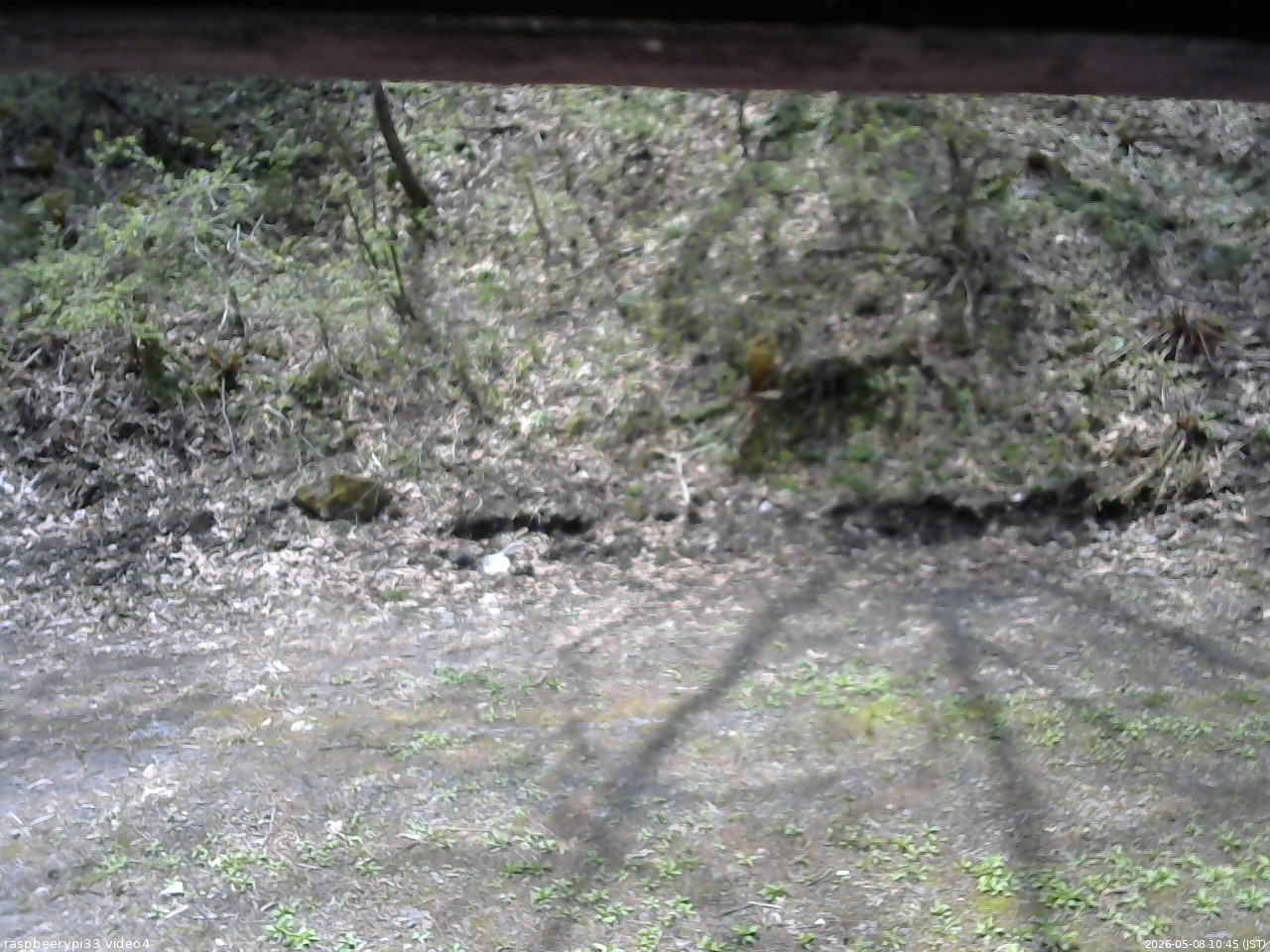 長野県菅平高原 ゆたか山荘 東側(坂下) 2026/05/08 10:45