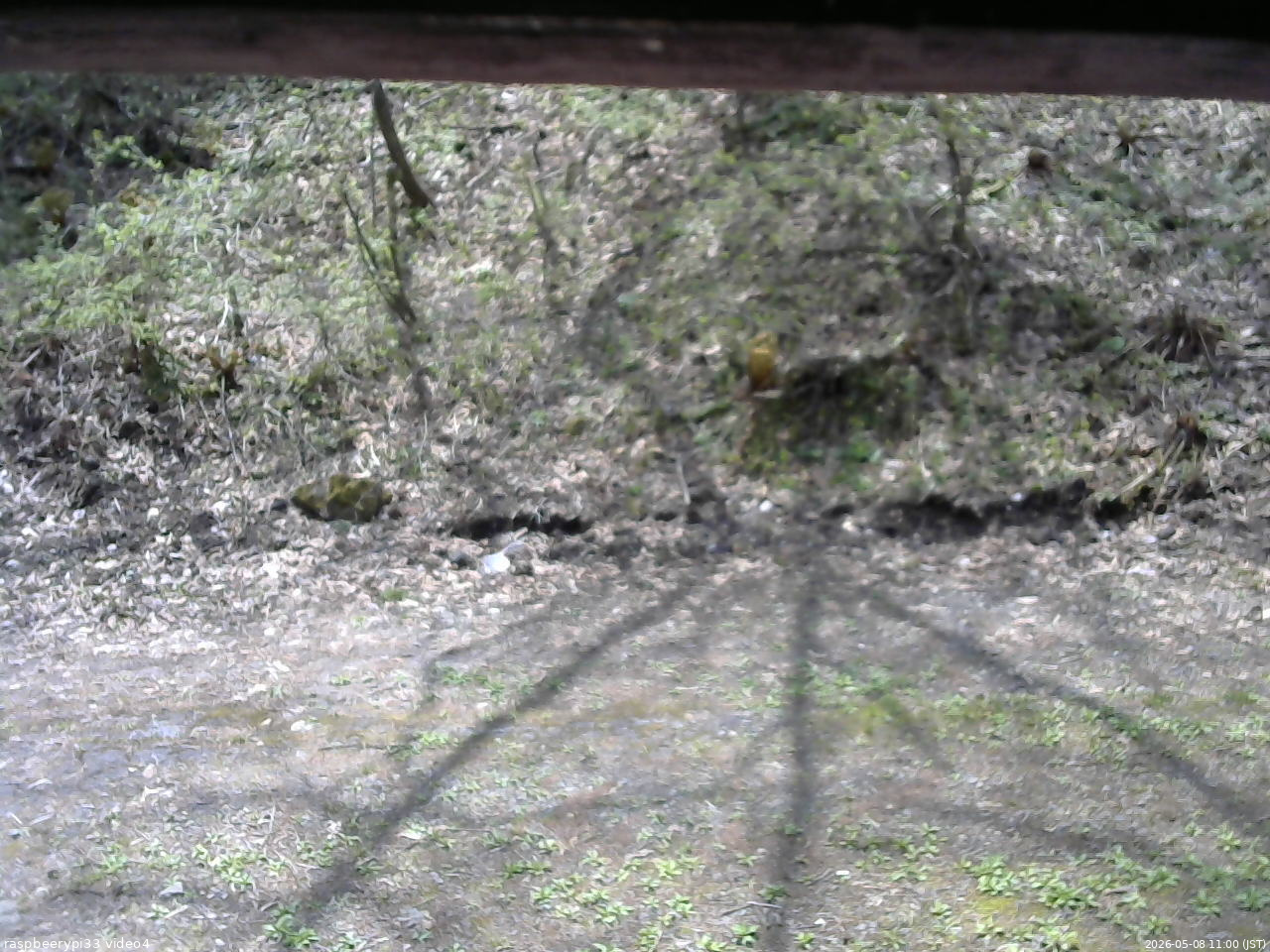 長野県菅平高原 ゆたか山荘 東側(坂下) 2026/05/08 11:00