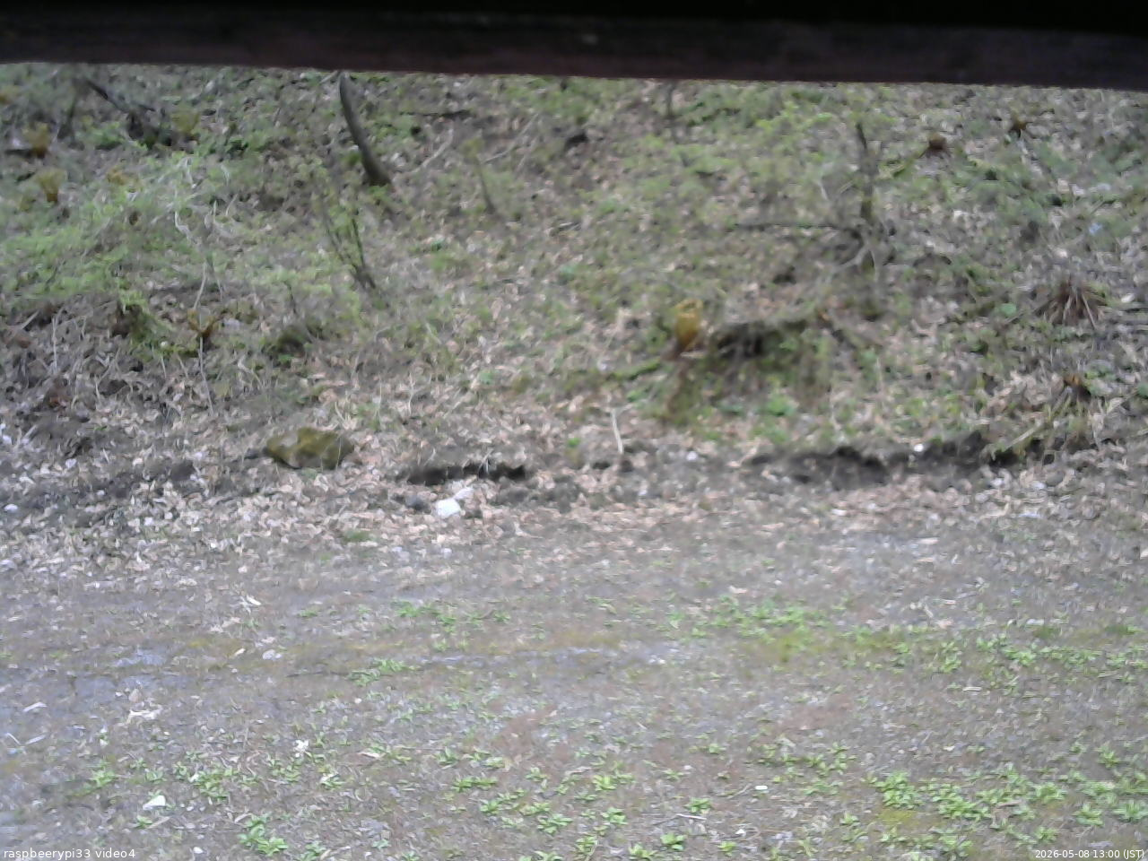 長野県菅平高原 ゆたか山荘 東側(坂下) 2026/05/08 13:00