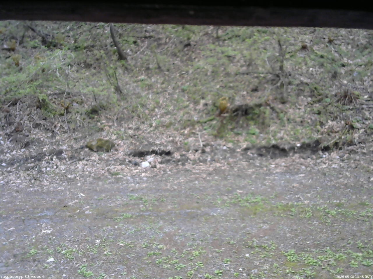 長野県菅平高原 ゆたか山荘 東側(坂下) 2026/05/08 13:45