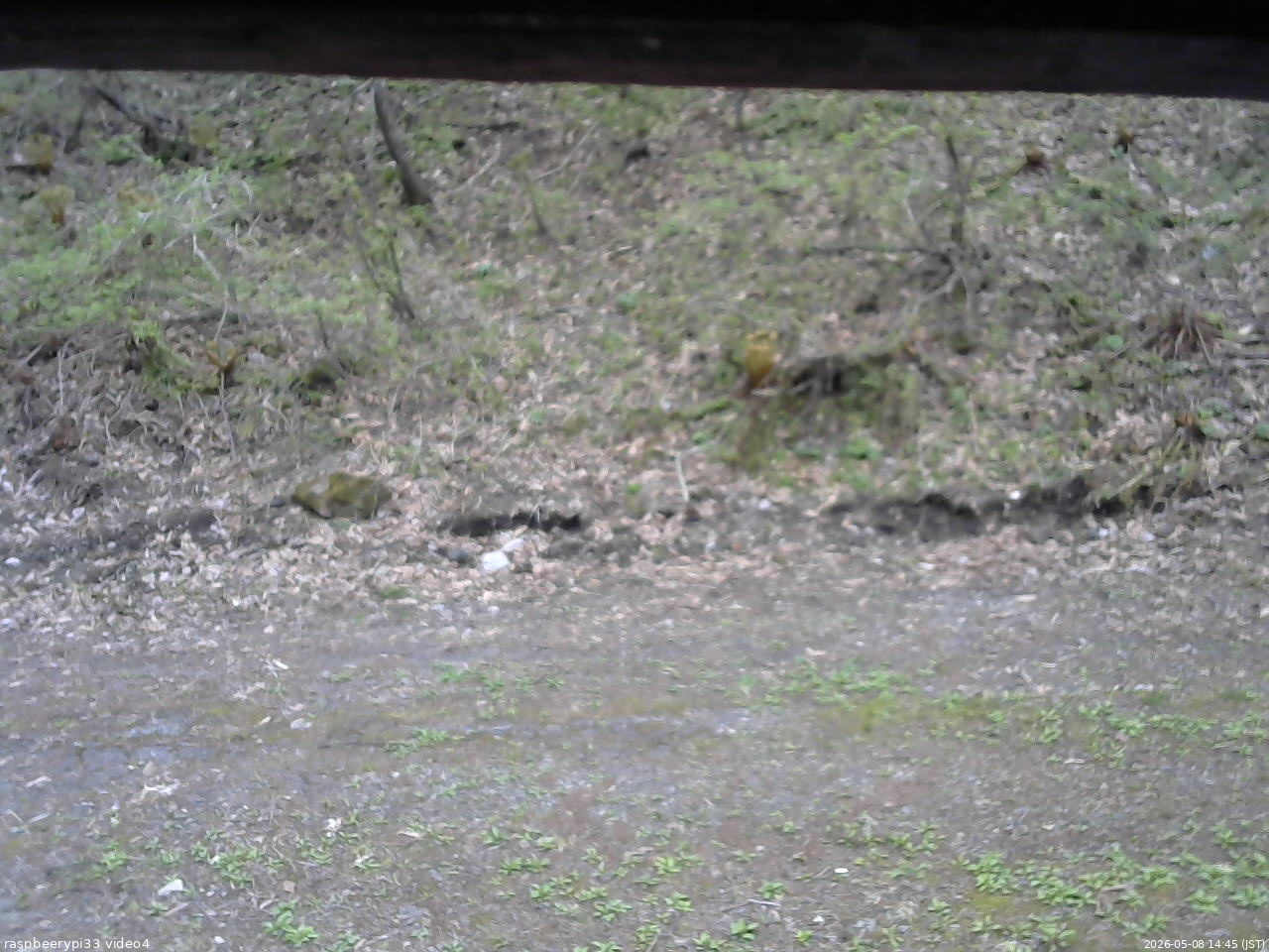 長野県菅平高原 ゆたか山荘 東側(坂下) 2026/05/08 14:45