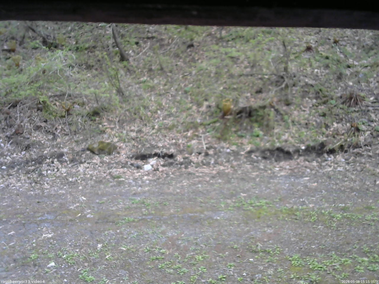 長野県菅平高原 ゆたか山荘 東側(坂下) 2026/05/08 15:15