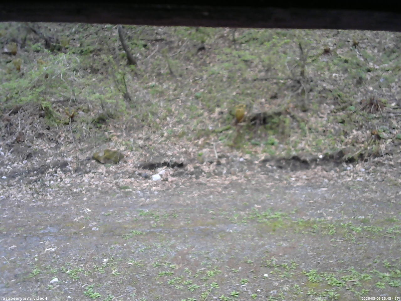 長野県菅平高原 ゆたか山荘 東側(坂下) 2026/05/08 15:45
