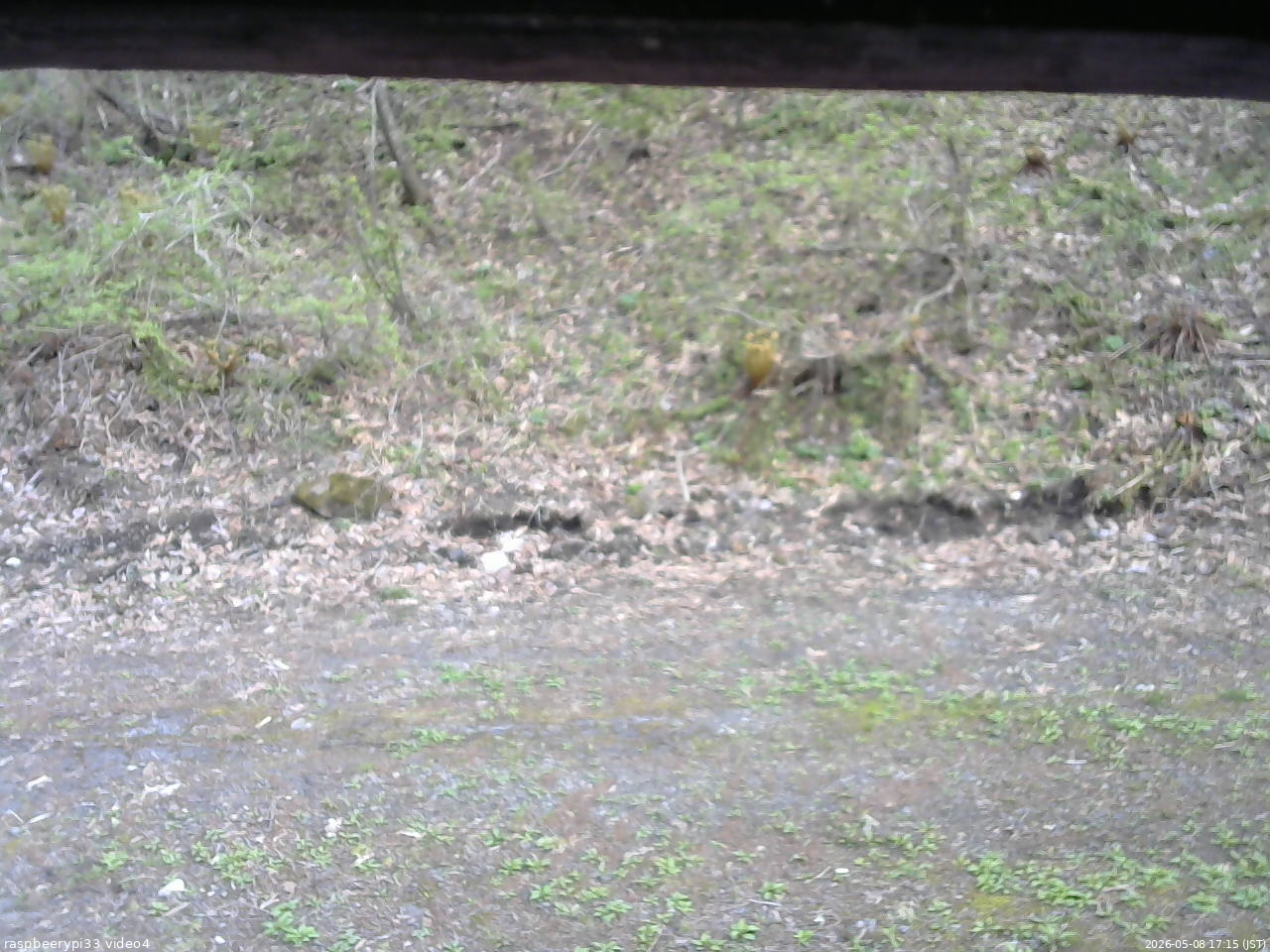 長野県菅平高原 ゆたか山荘 東側(坂下) 2026/05/08 17:15