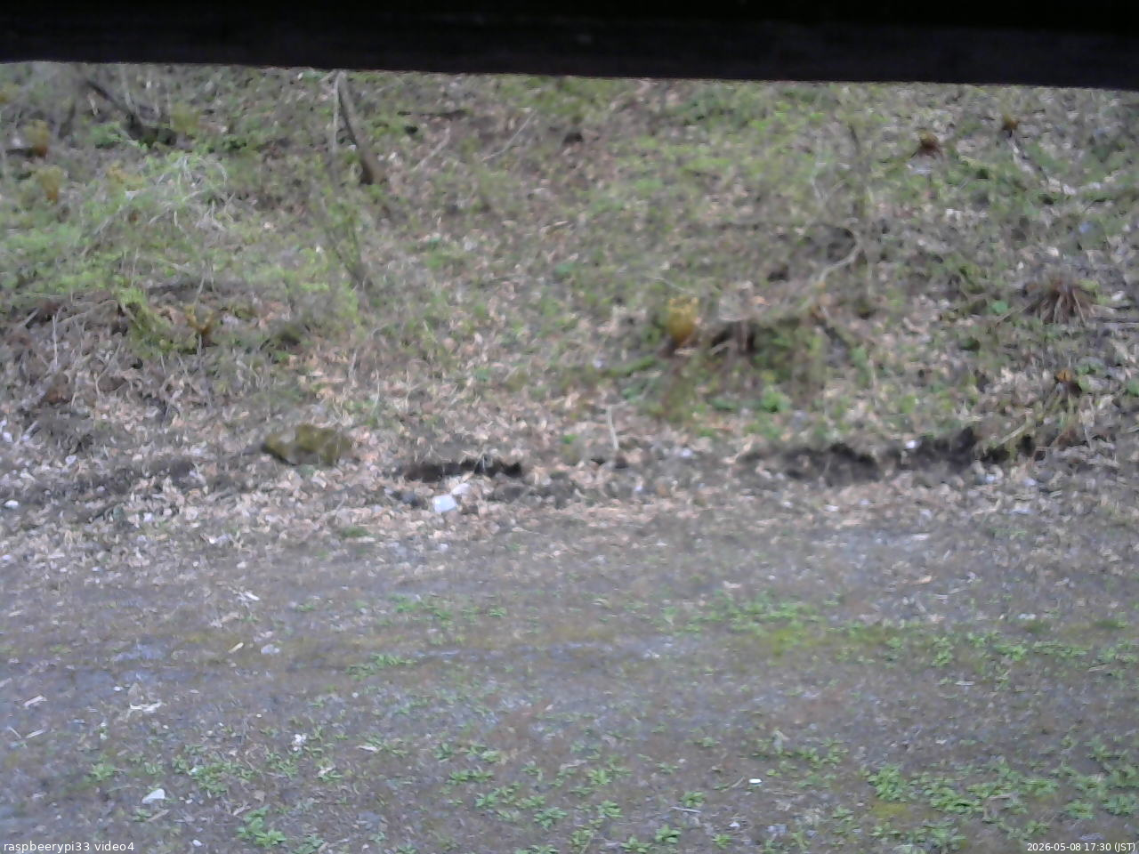 長野県菅平高原 ゆたか山荘 東側(坂下) 2026/05/08 17:30