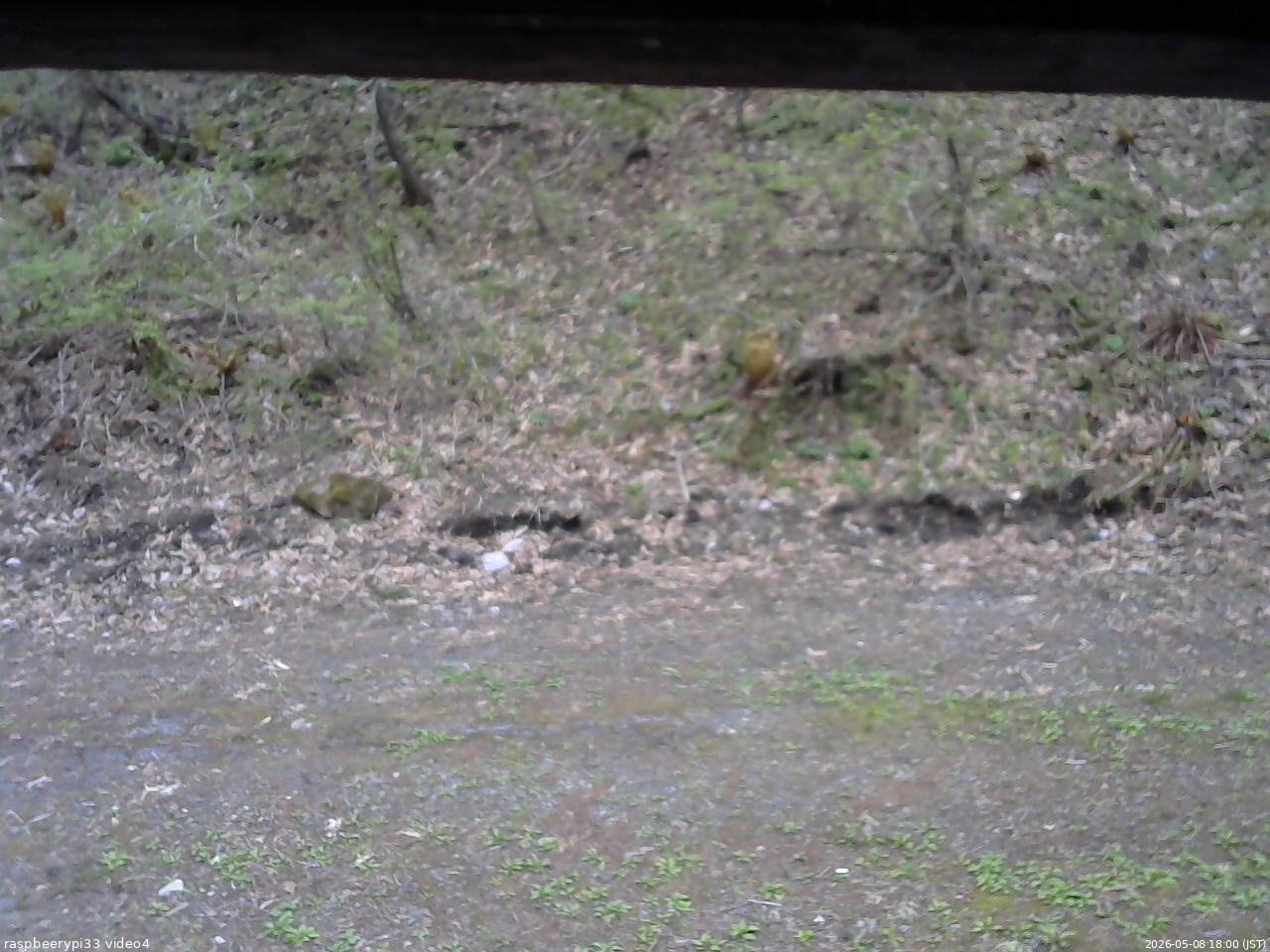 長野県菅平高原 ゆたか山荘 東側(坂下) 2026/05/08 18:00