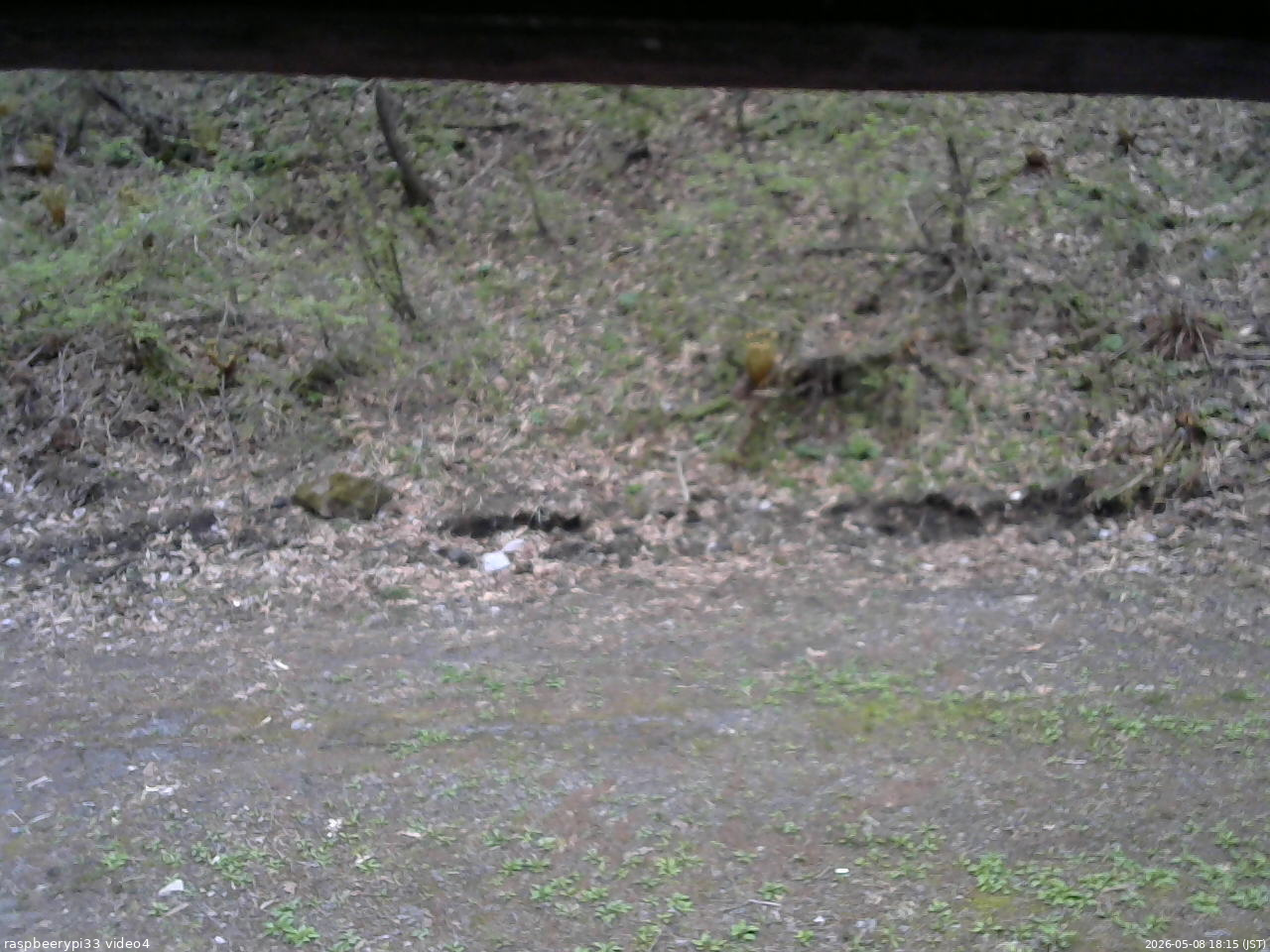 長野県菅平高原 ゆたか山荘 東側(坂下) 2026/05/08 18:15
