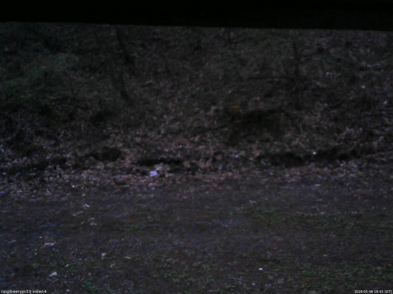 長野県菅平高原 ゆたか山荘 東側(坂下) 2026/05/08 18:45