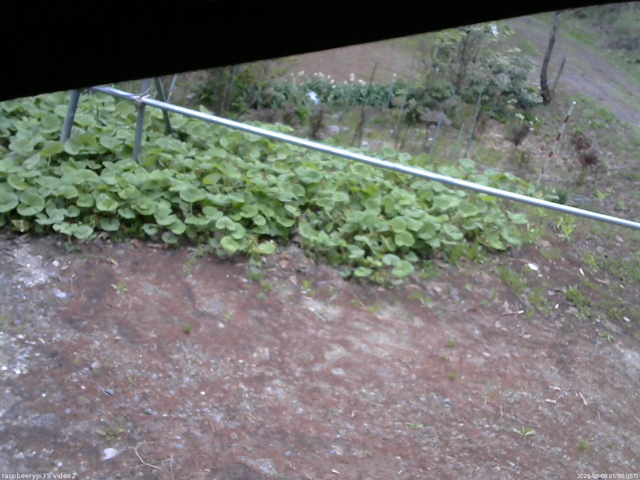 長野県菅平高原 ゆたか山荘 駐車場 2026/05/08 05:30