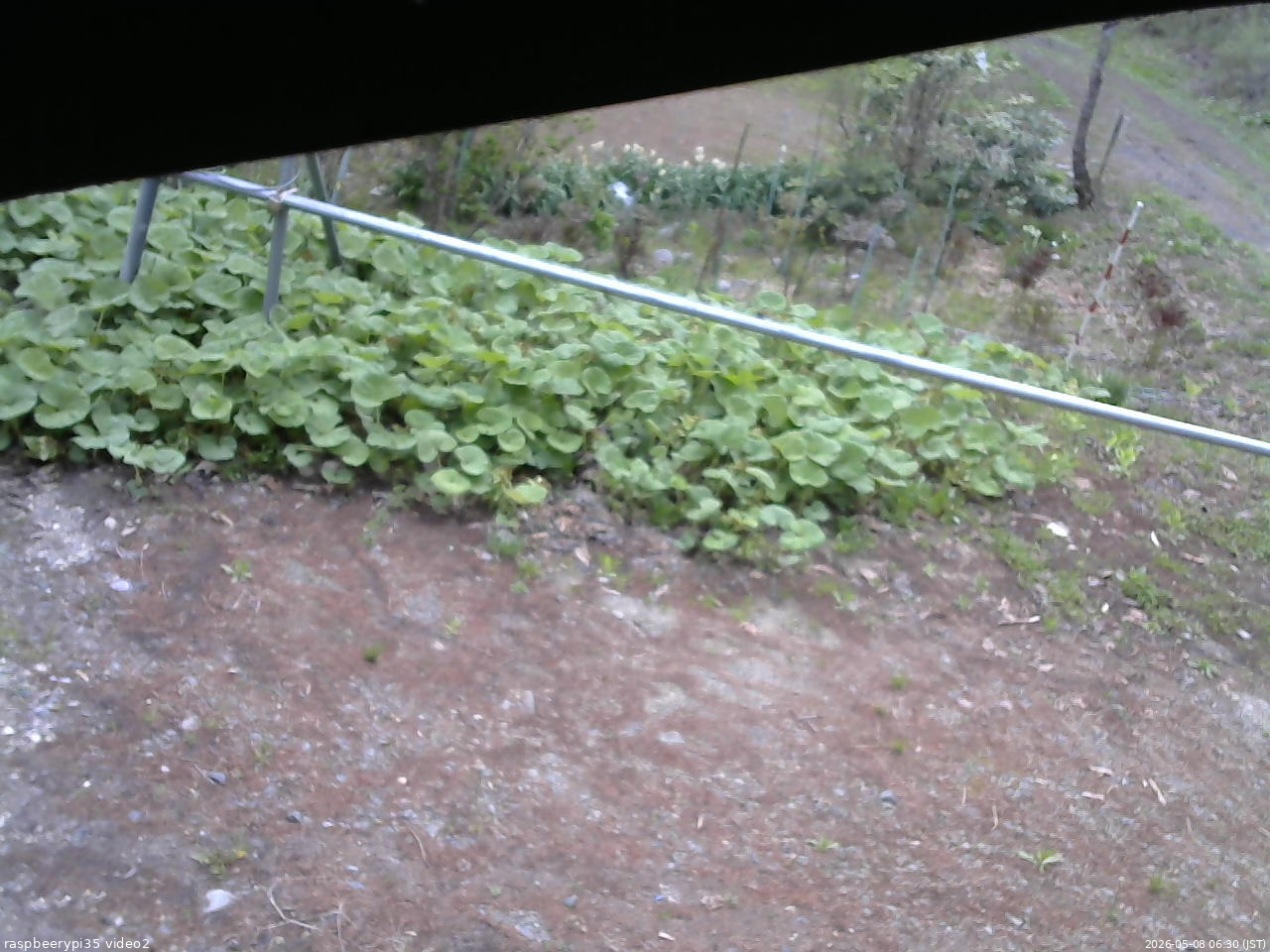 長野県菅平高原 ゆたか山荘 駐車場 2026/05/08 06:30