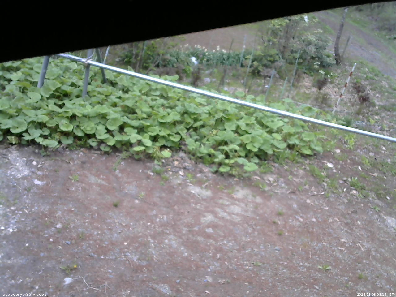 長野県菅平高原 ゆたか山荘 駐車場 2026/05/08 08:15