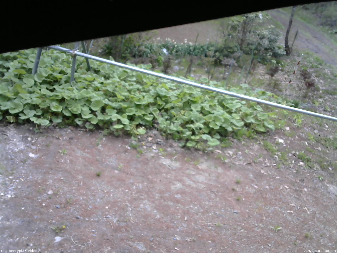 長野県菅平高原 ゆたか山荘 駐車場 2026/05/08 08:30
