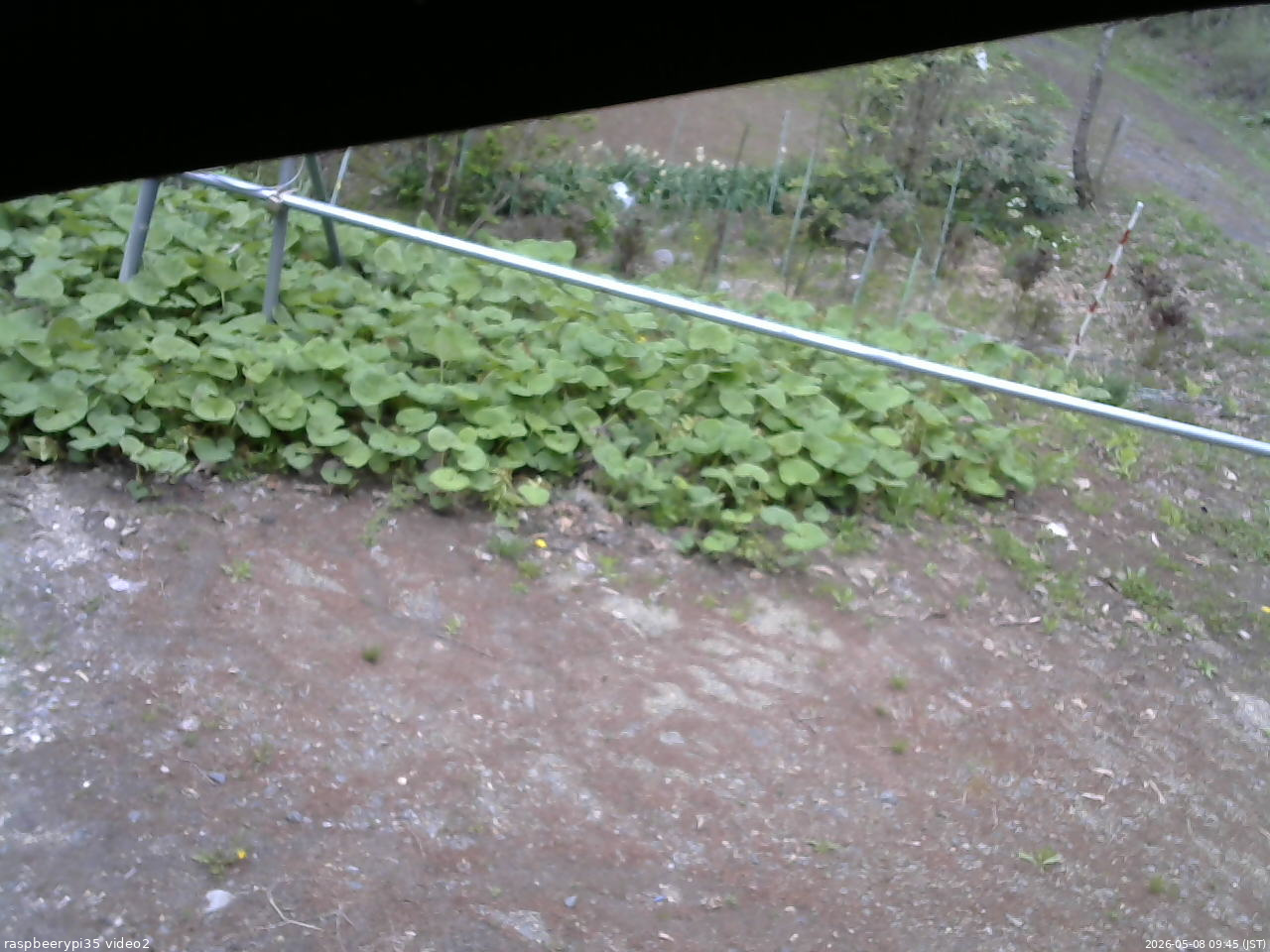 長野県菅平高原 ゆたか山荘 駐車場 2026/05/08 09:45