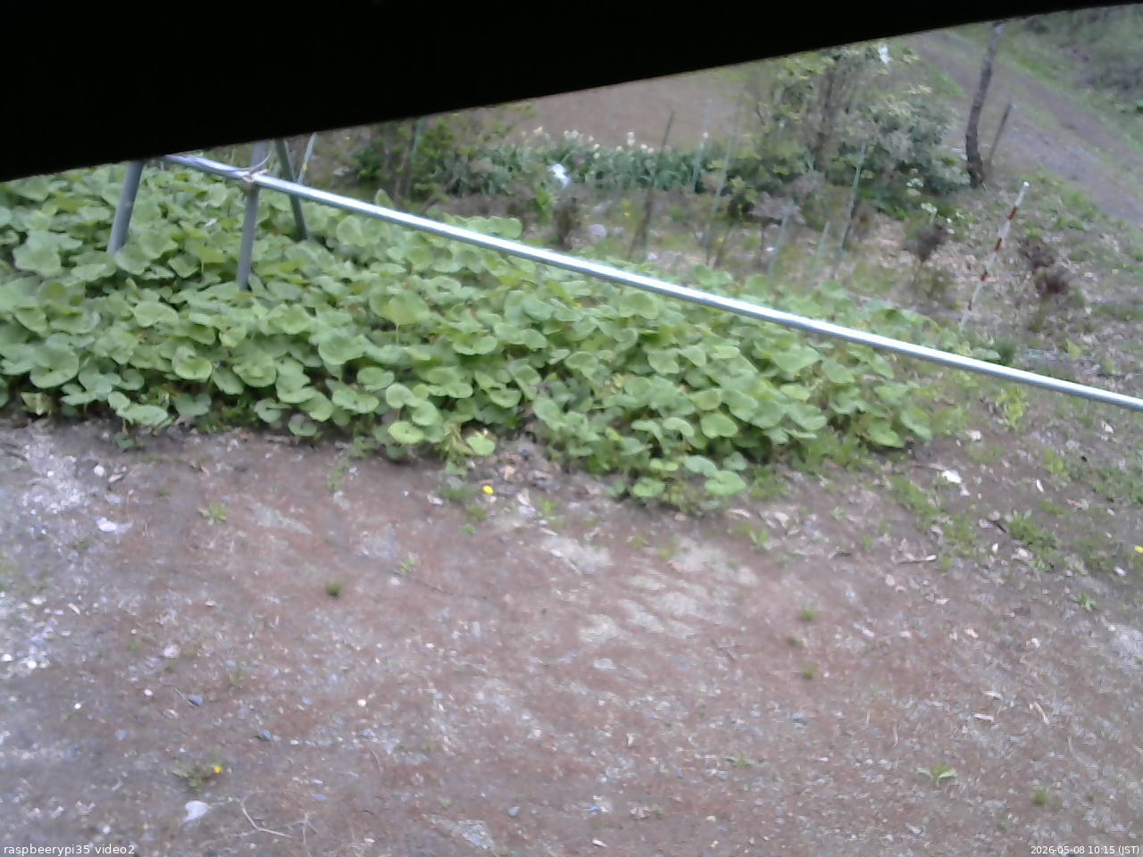 長野県菅平高原 ゆたか山荘 駐車場 2026/05/08 10:15
