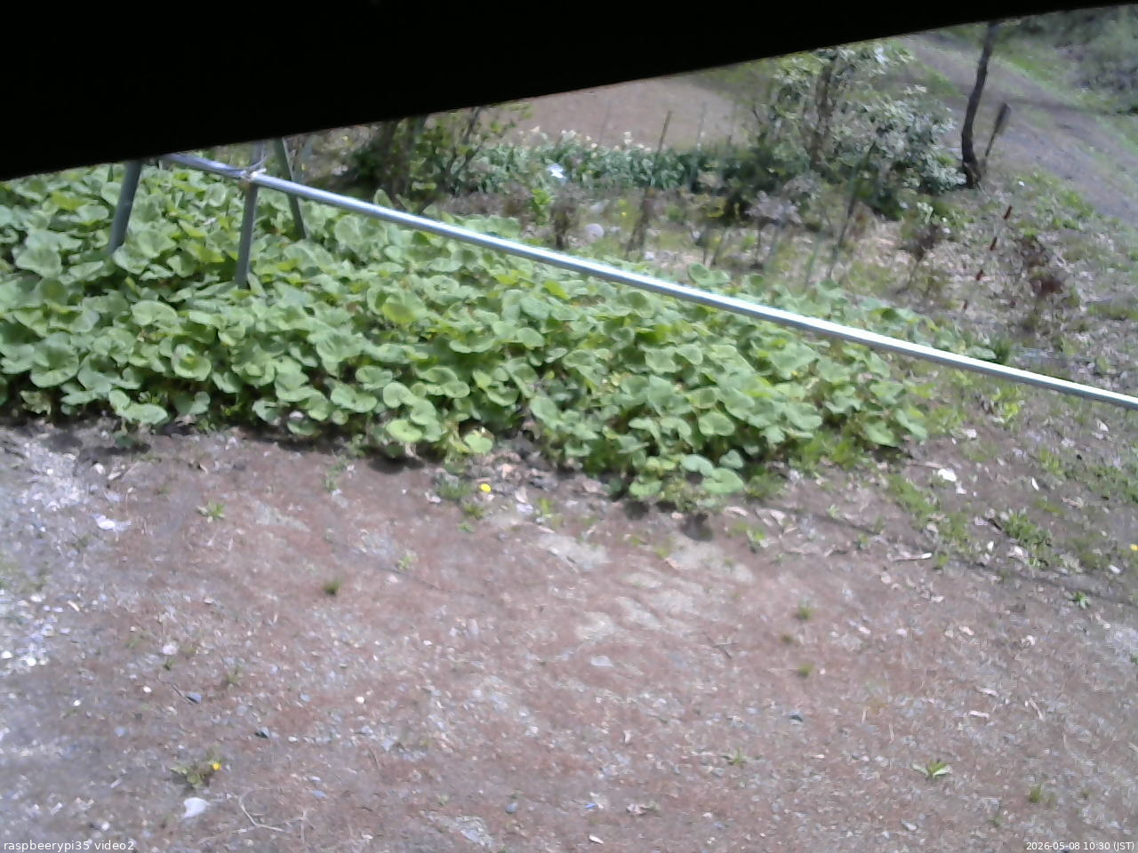 長野県菅平高原 ゆたか山荘 駐車場 2026/05/08 10:30