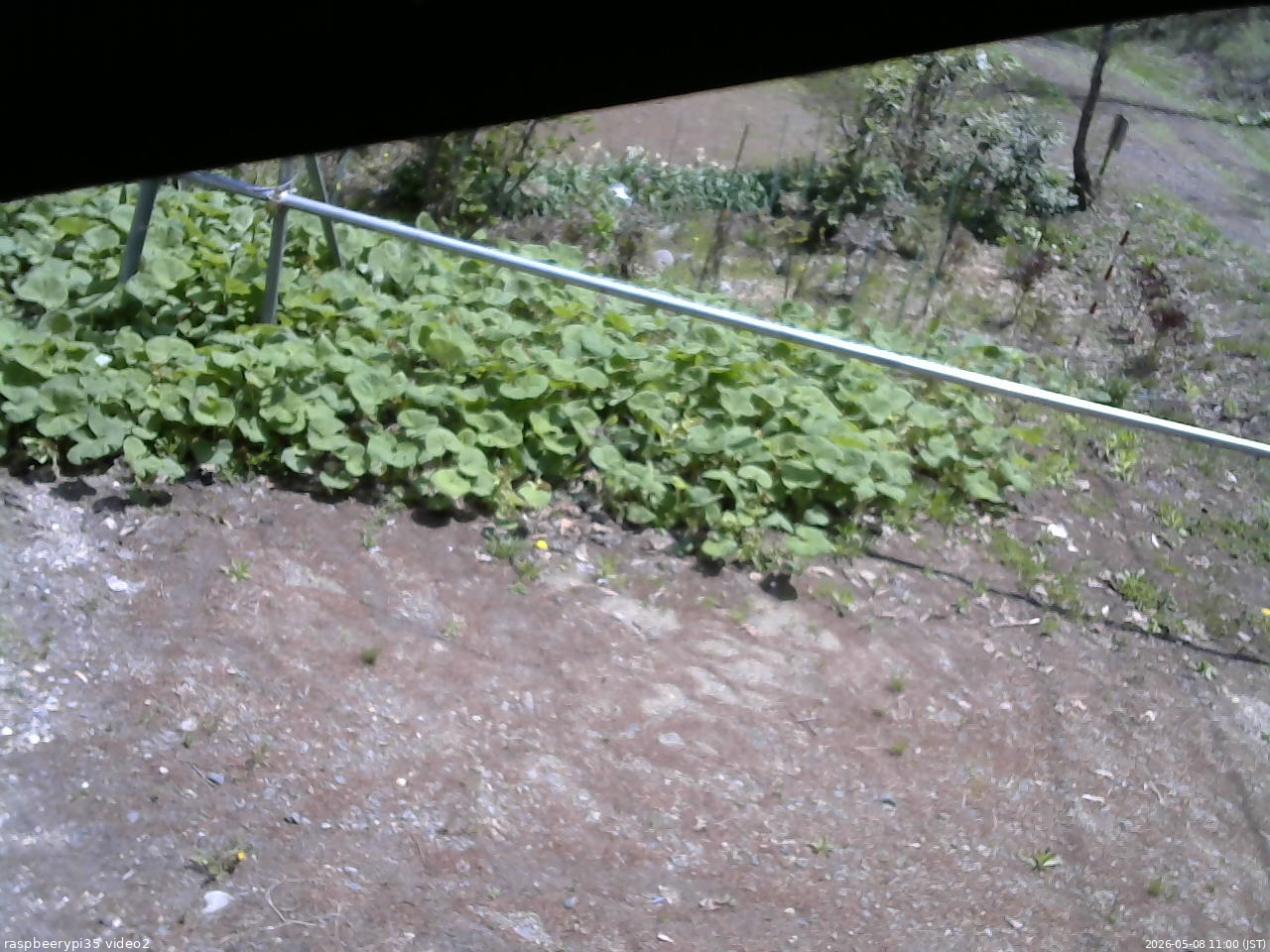 長野県菅平高原 ゆたか山荘 駐車場 2026/05/08 11:00