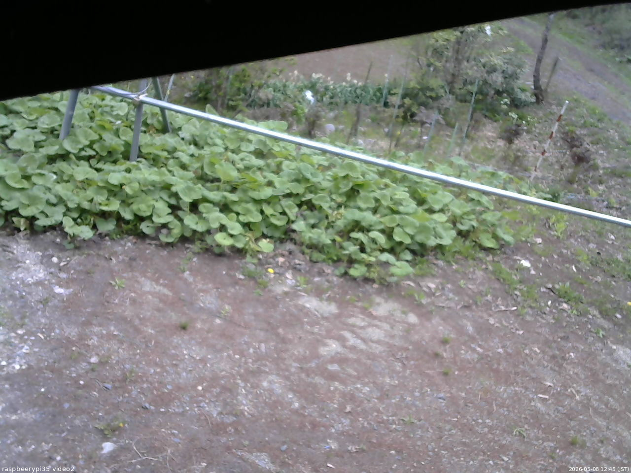 長野県菅平高原 ゆたか山荘 駐車場 2026/05/08 12:45