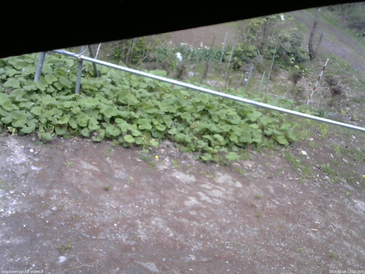 長野県菅平高原 ゆたか山荘 駐車場 2026/05/08 13:15