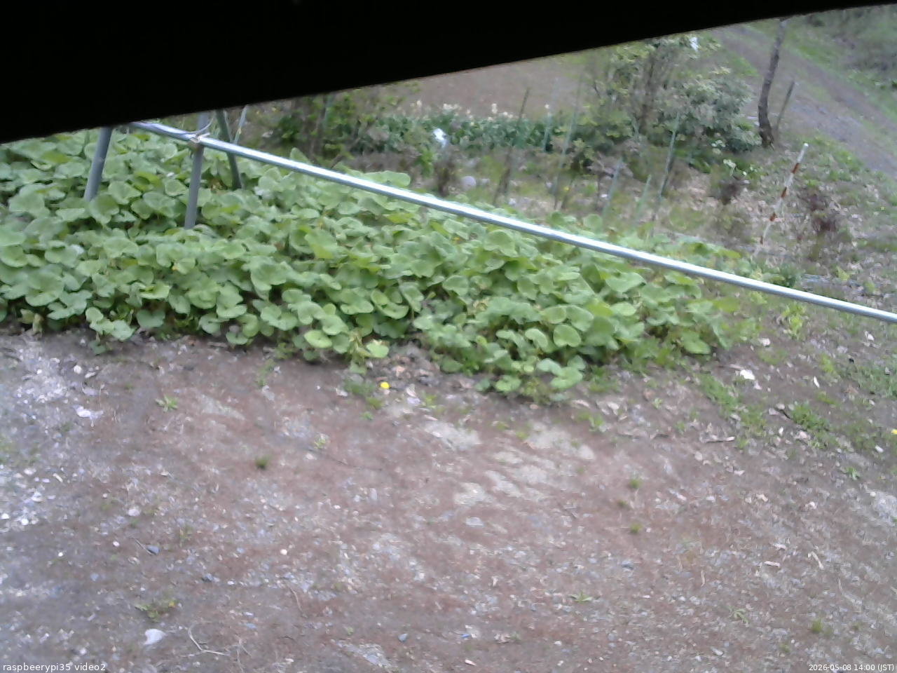 長野県菅平高原 ゆたか山荘 駐車場 2026/05/08 14:00