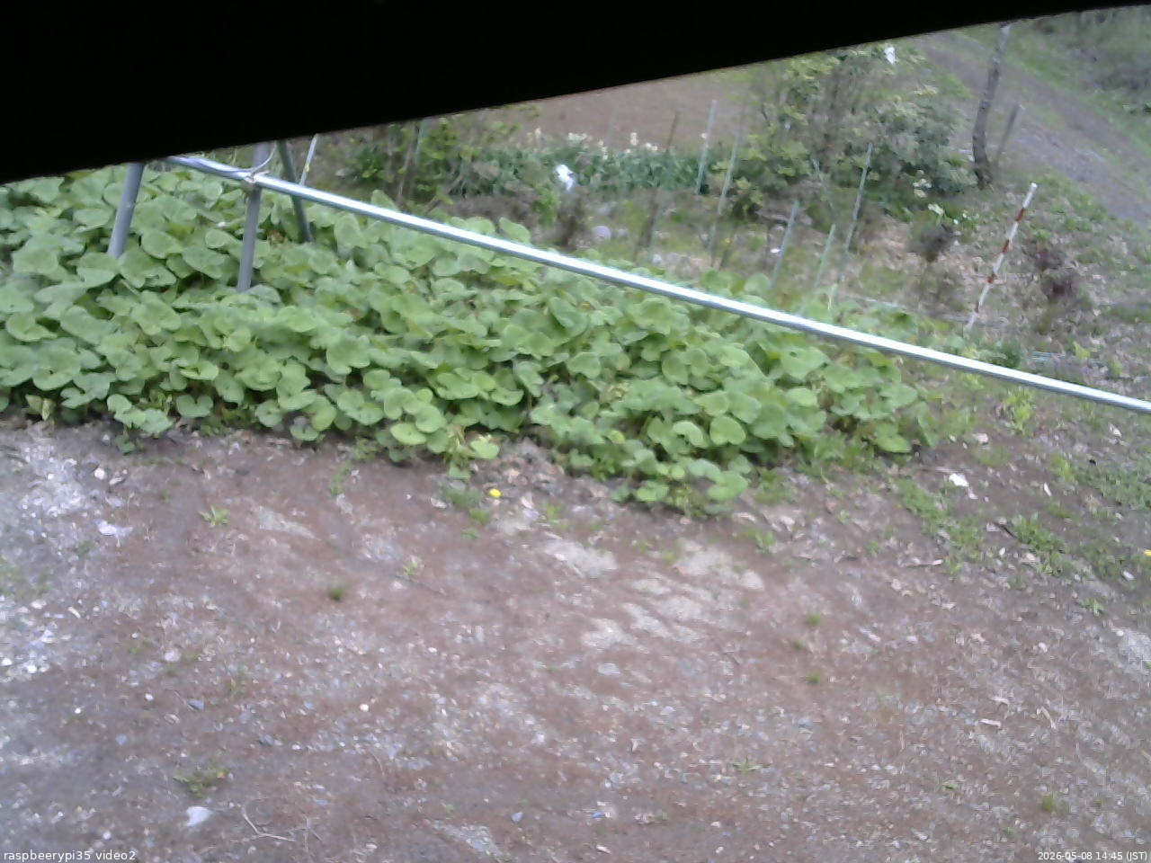長野県菅平高原 ゆたか山荘 駐車場 2026/05/08 14:45