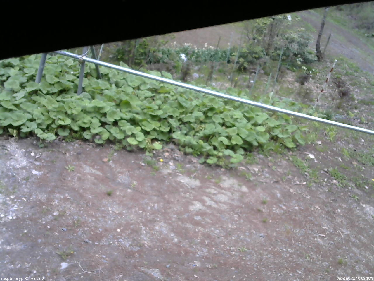長野県菅平高原 ゆたか山荘 駐車場 2026/05/08 15:30