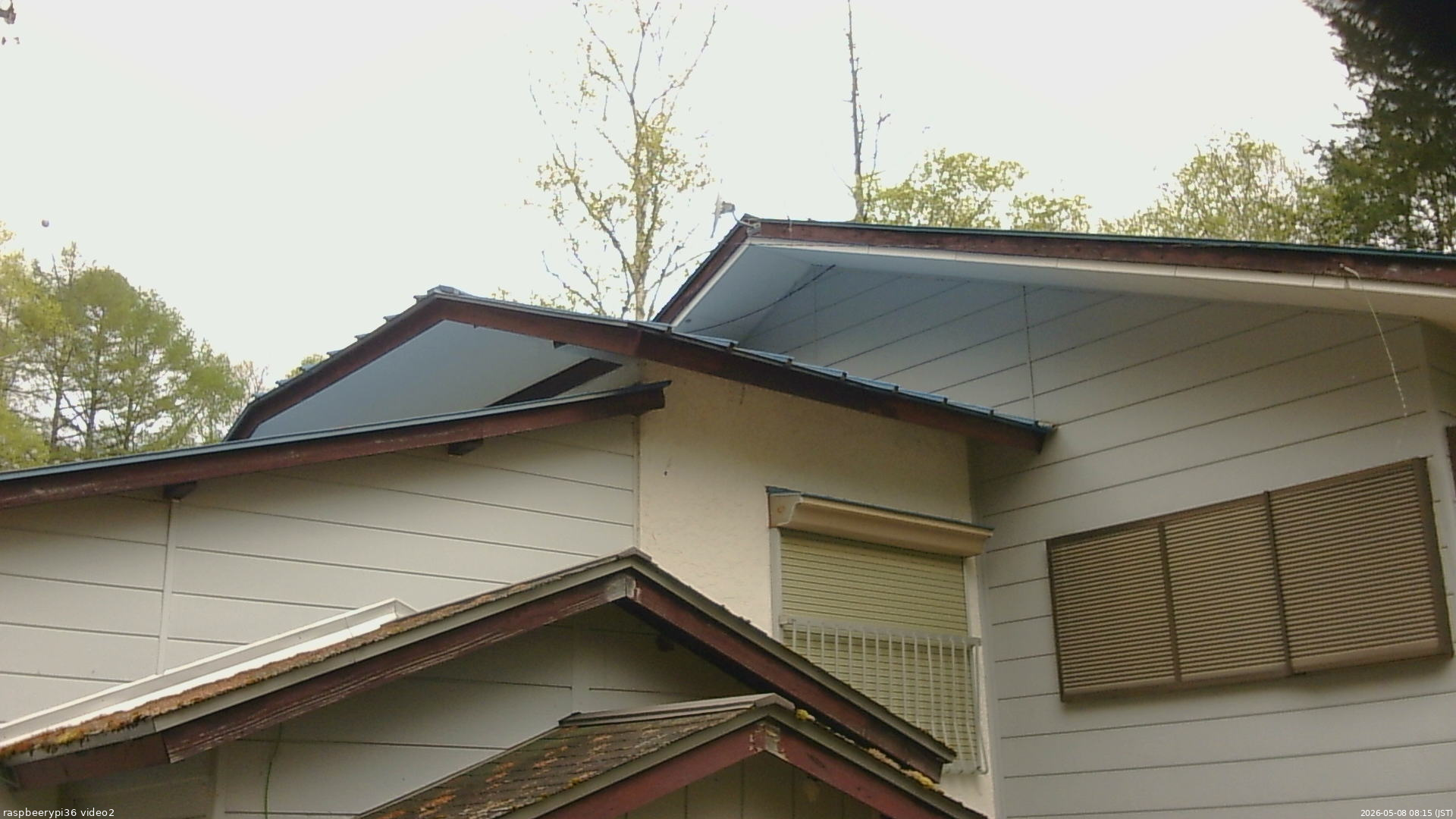長野県菅平高原 ゆたか山荘 駐車場奥 2026/05/08 08:15