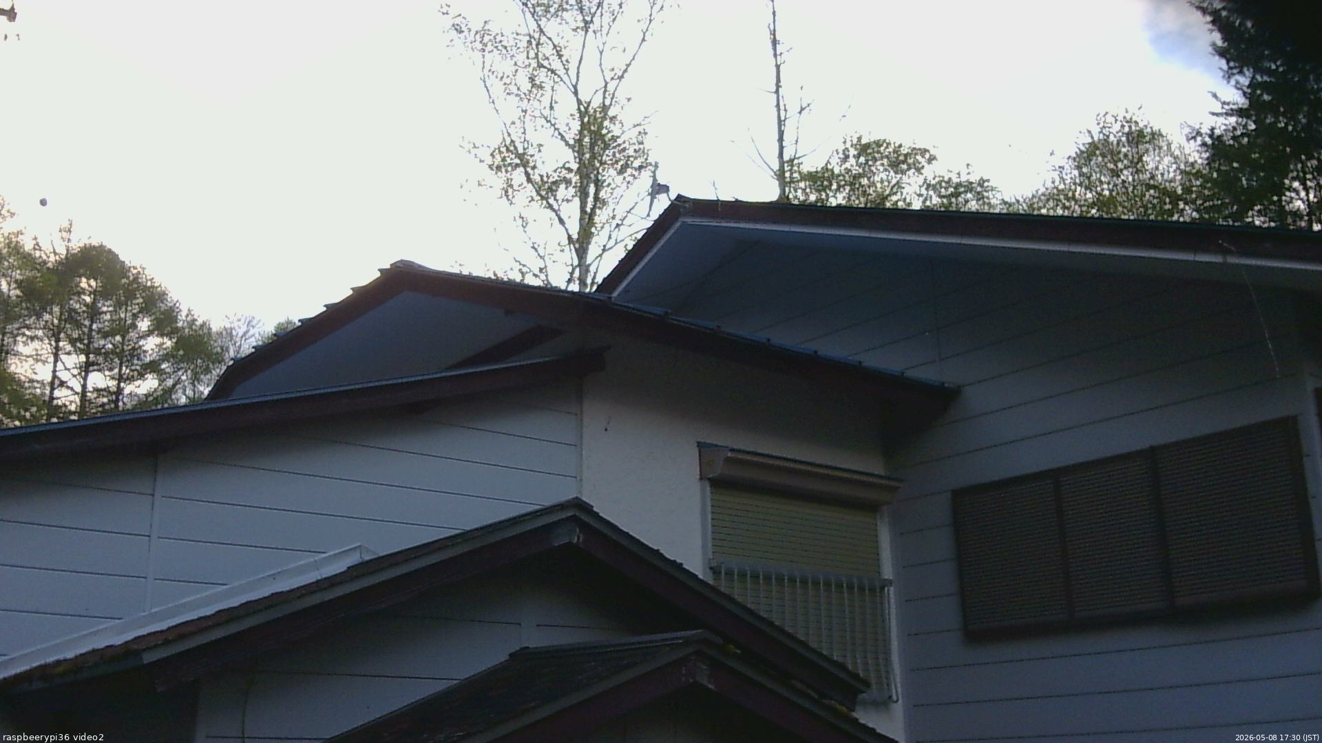 長野県菅平高原 ゆたか山荘 駐車場奥 2026/05/08 17:30