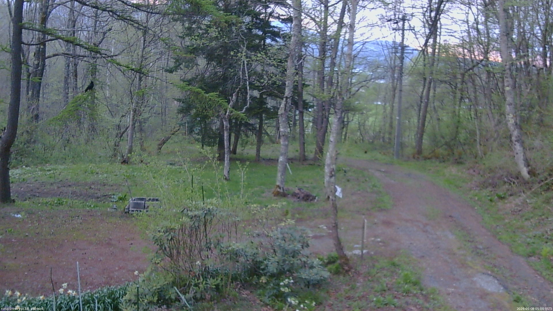 長野県菅平高原 ゆたか山荘 坂上 2026/05/08 05:00