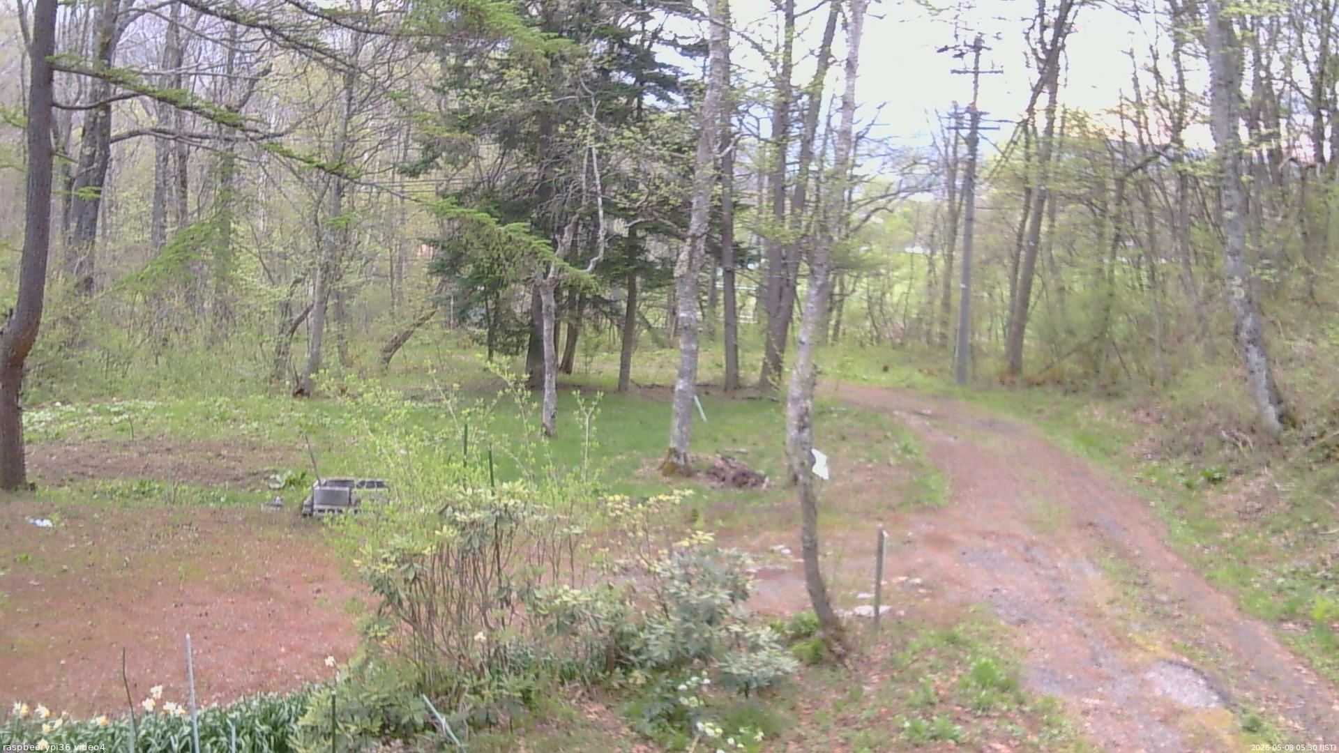 長野県菅平高原 ゆたか山荘 坂上 2026/05/08 05:30