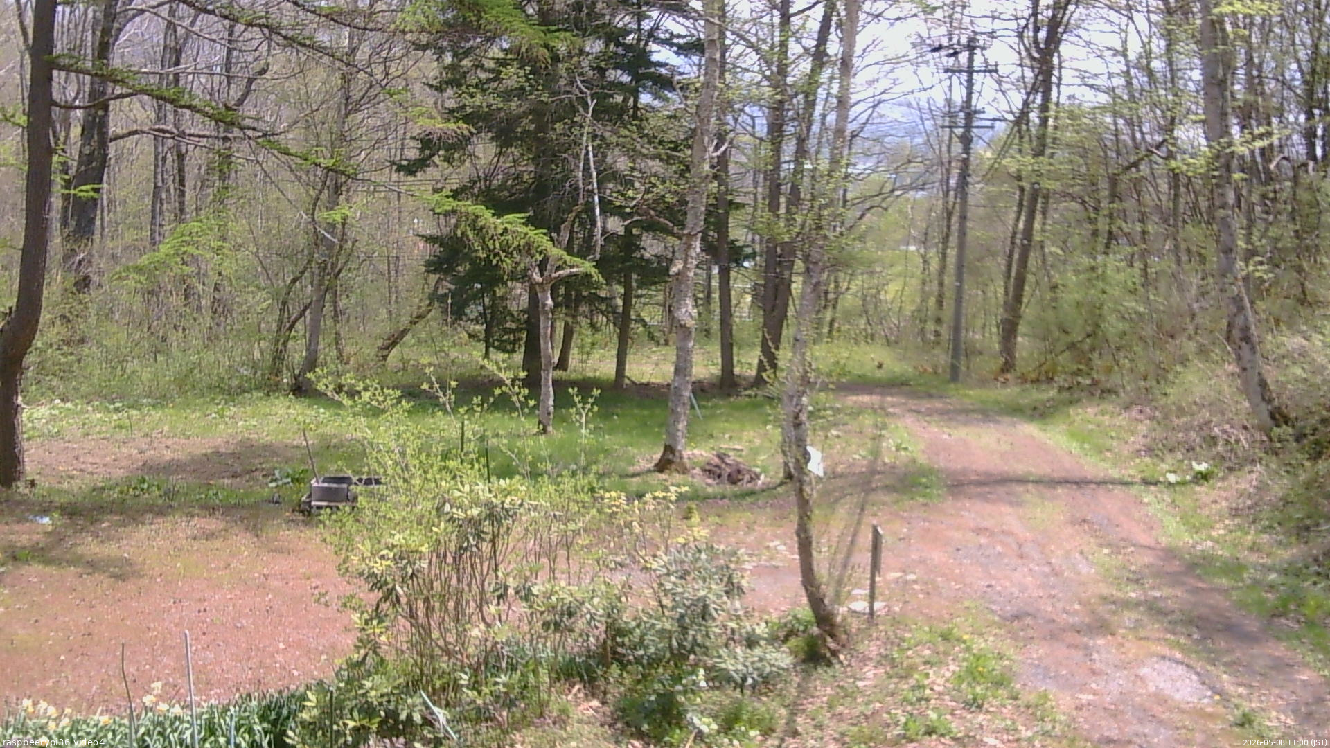 長野県菅平高原 ゆたか山荘 坂上 2026/05/08 11:00