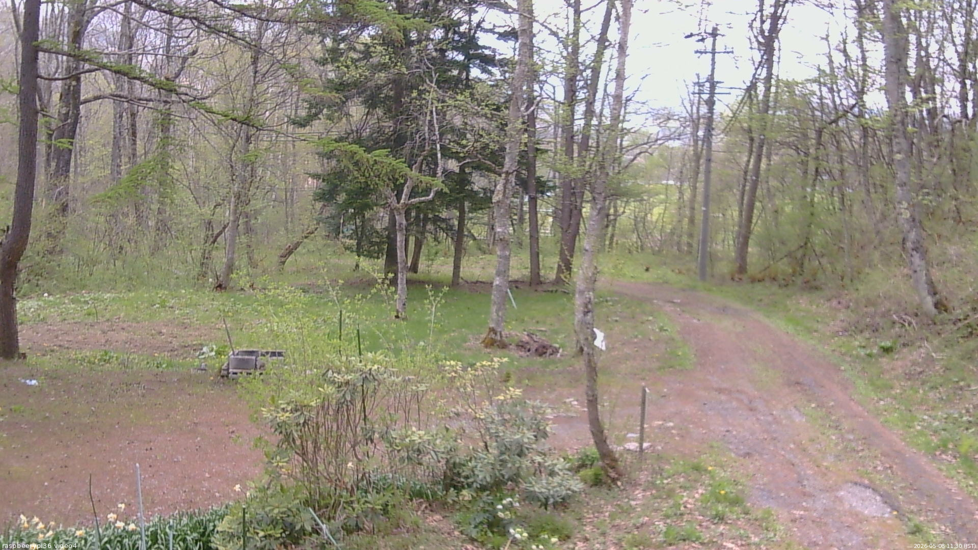 長野県菅平高原 ゆたか山荘 坂上 2026/05/08 11:30