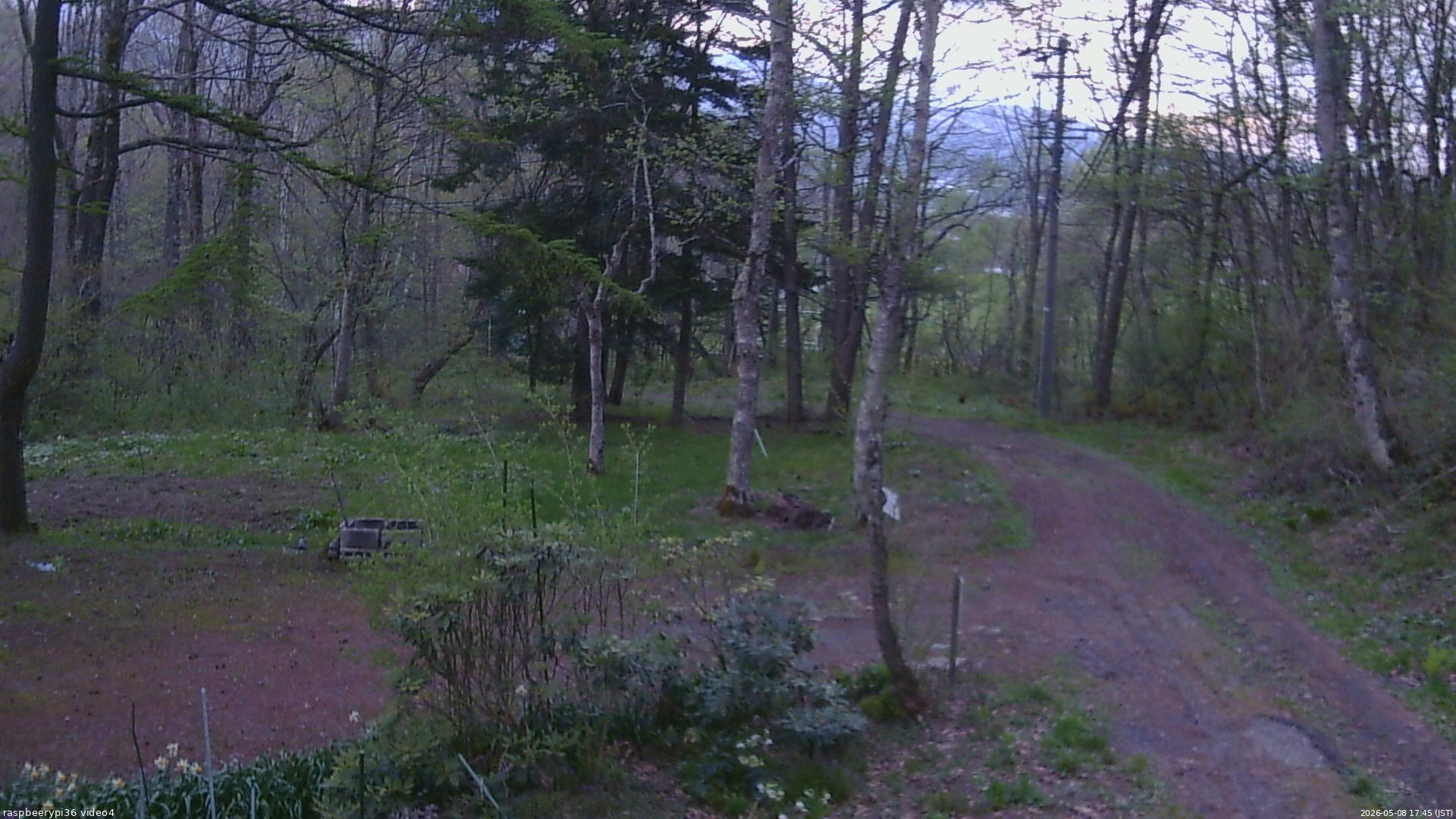 長野県菅平高原 ゆたか山荘 坂上 2026/05/08 17:45