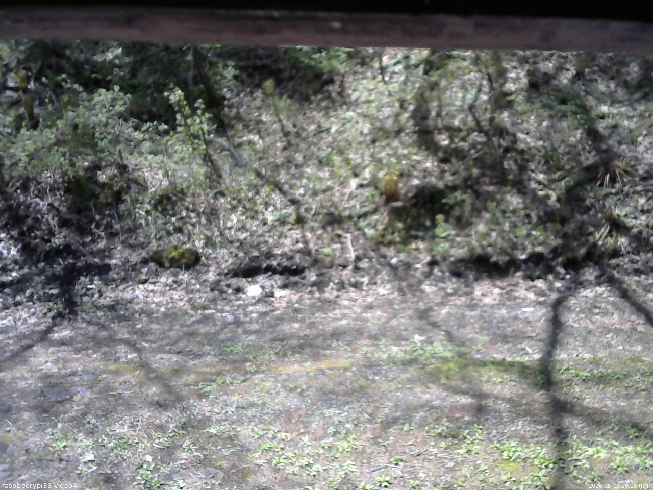 長野県菅平高原 ゆたか山荘 東側(坂下) 2026/05/09 10:15