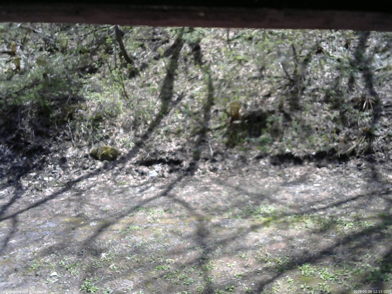 長野県菅平高原 ゆたか山荘 東側(坂下) 2026/05/09 12:15