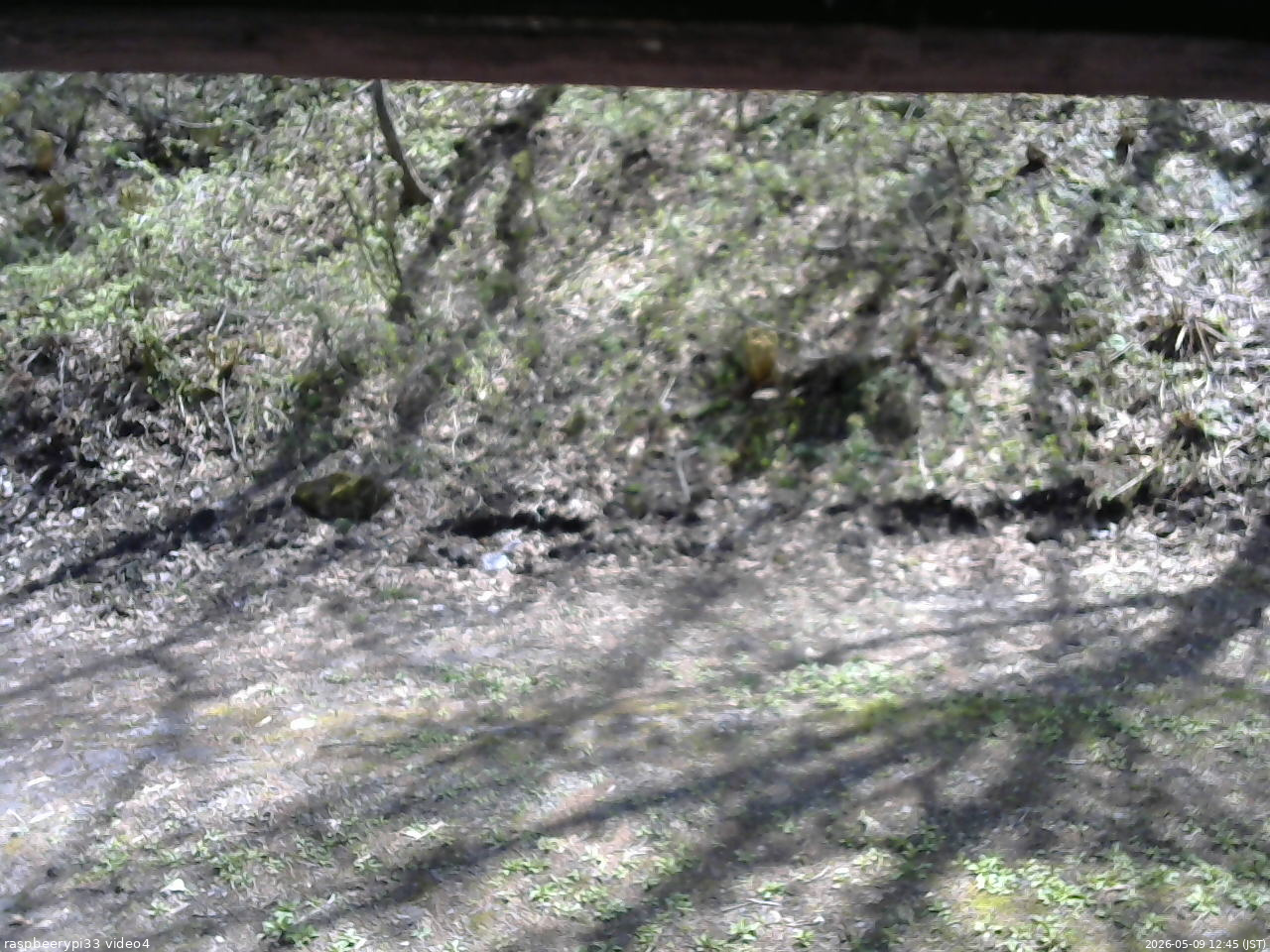 長野県菅平高原 ゆたか山荘 東側(坂下) 2026/05/09 12:45